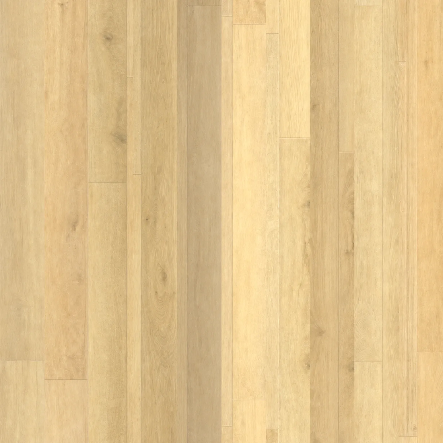 Cooloola Sand