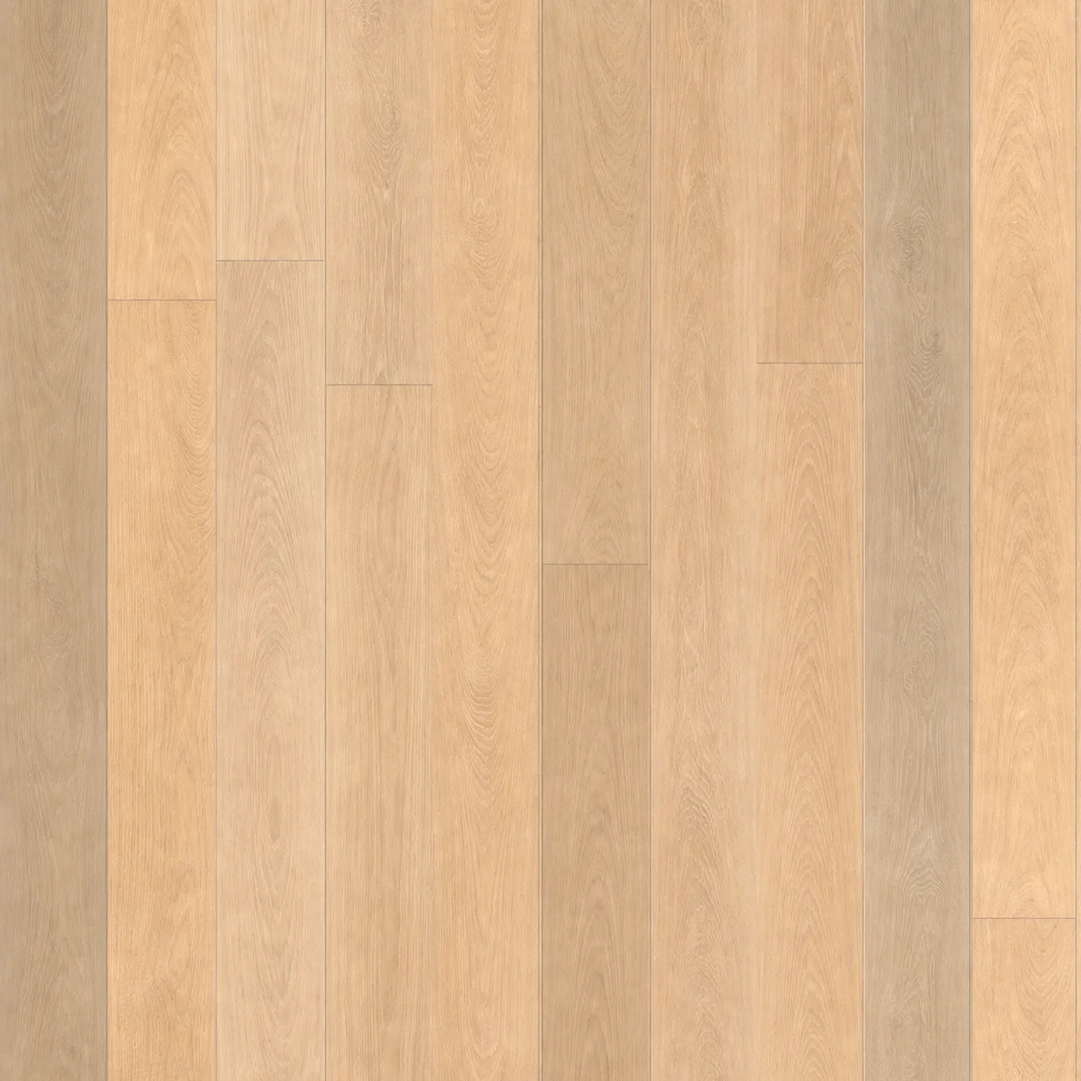 Noosa Sand