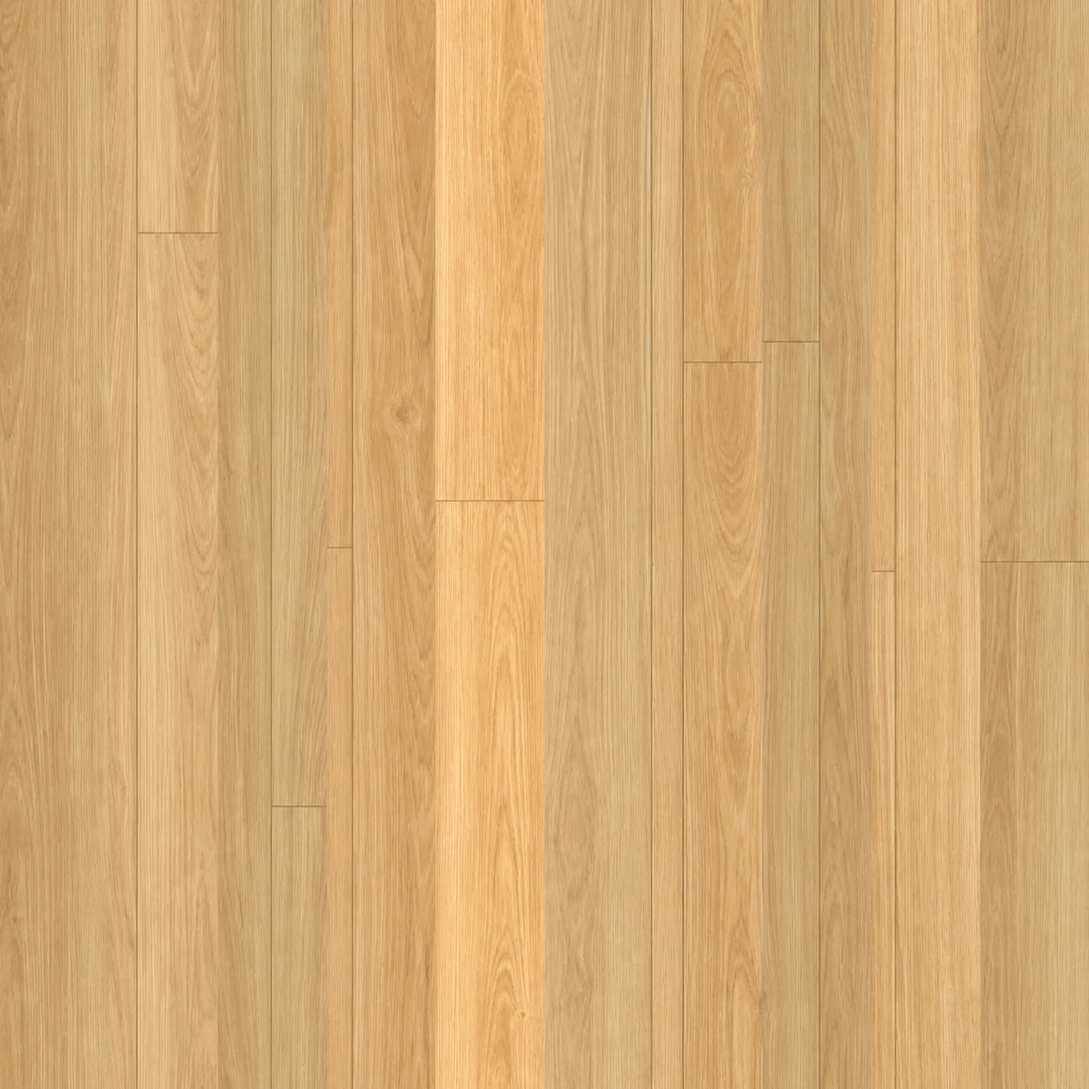 Sunset Blackbutt