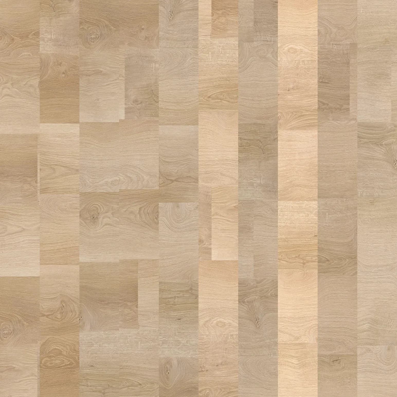 Desert Oak