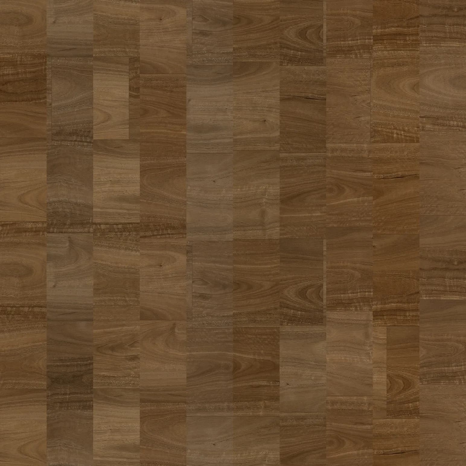 Spotted Gum