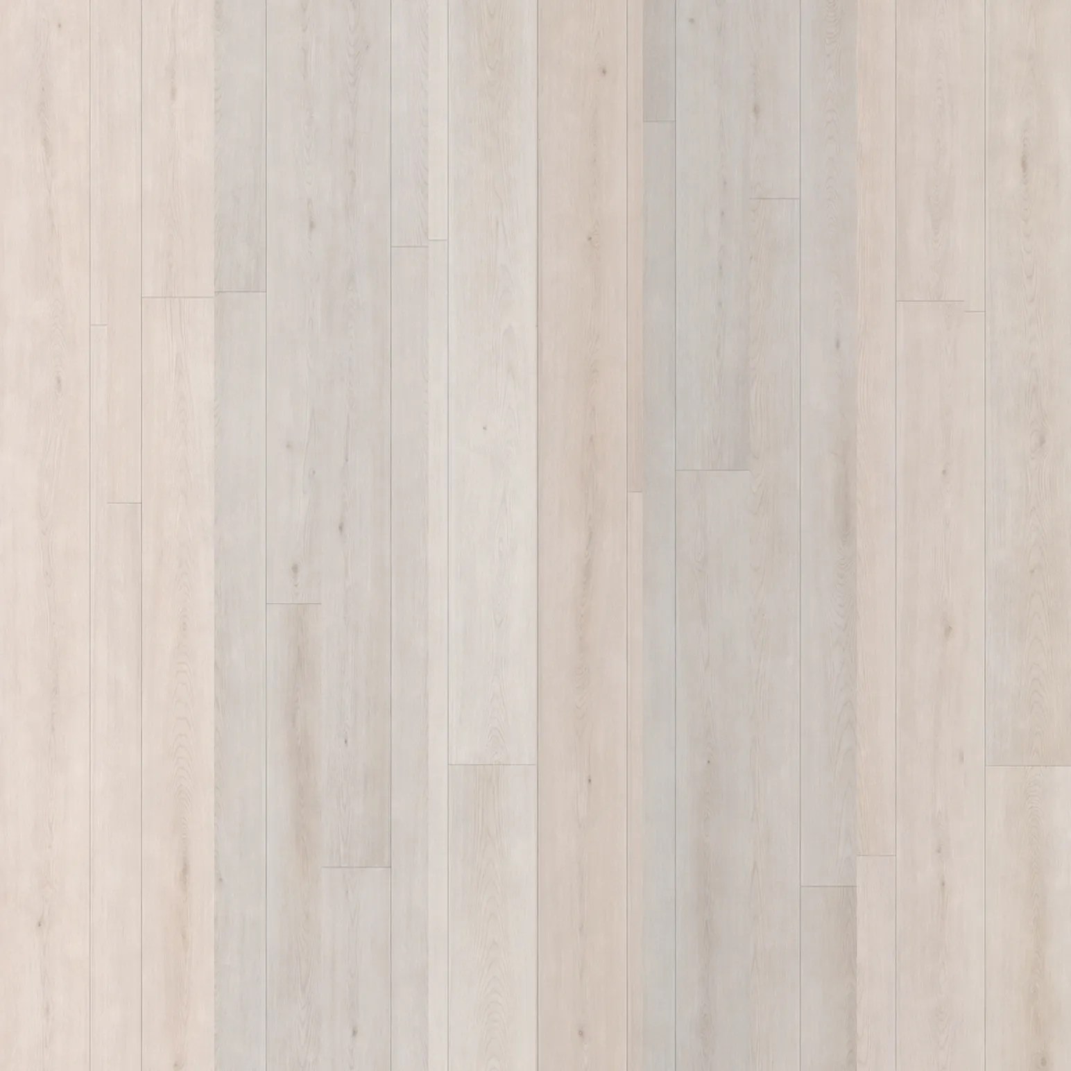 Beach Oak