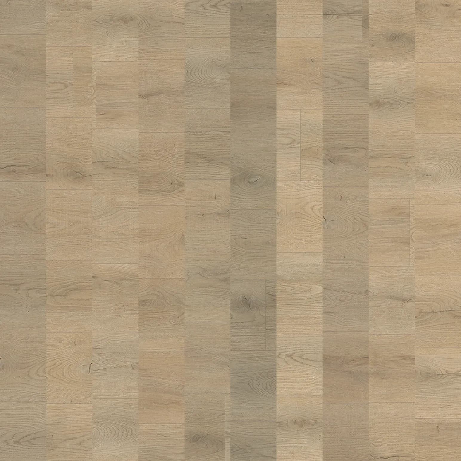 Alpine Oak