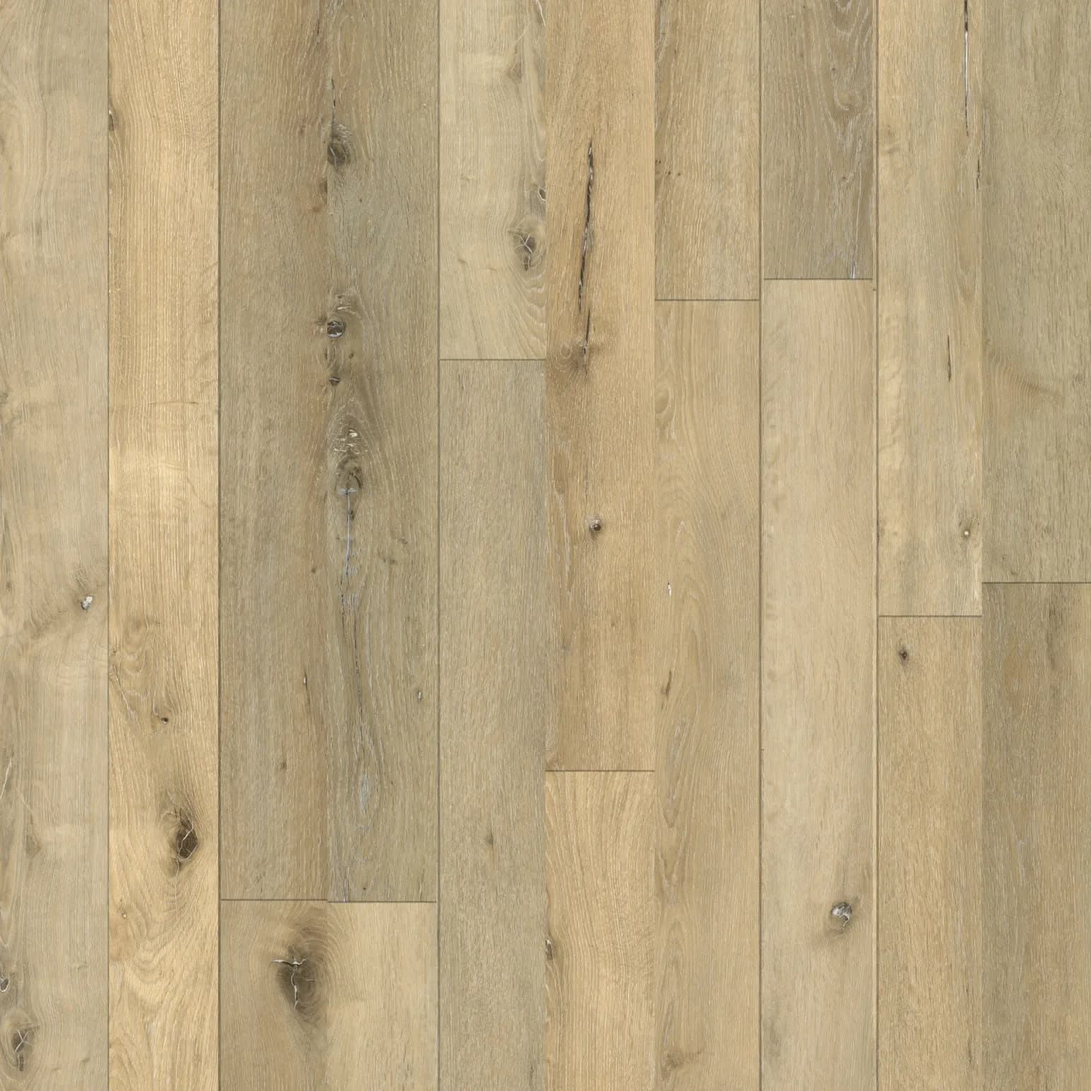Smoulder Oak