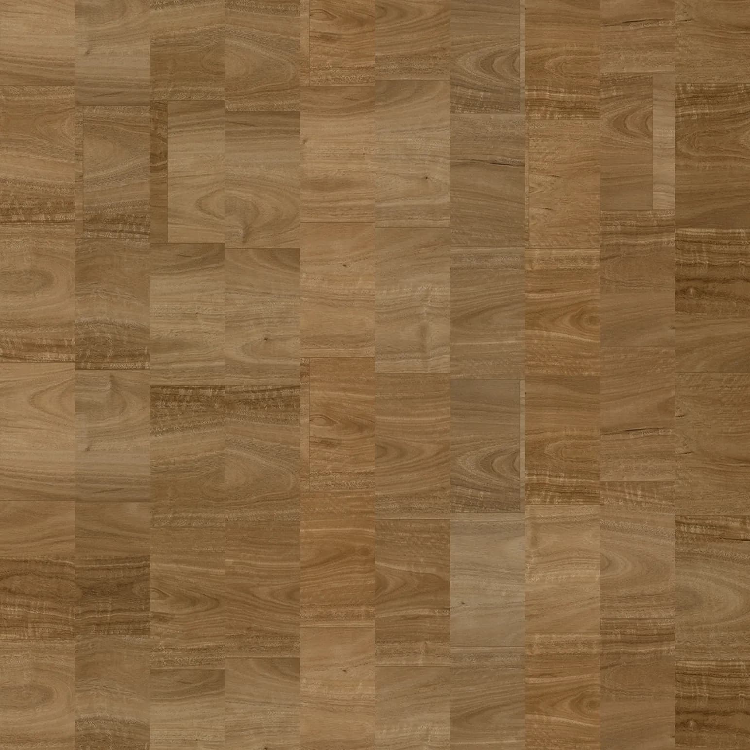 Spotted Gum