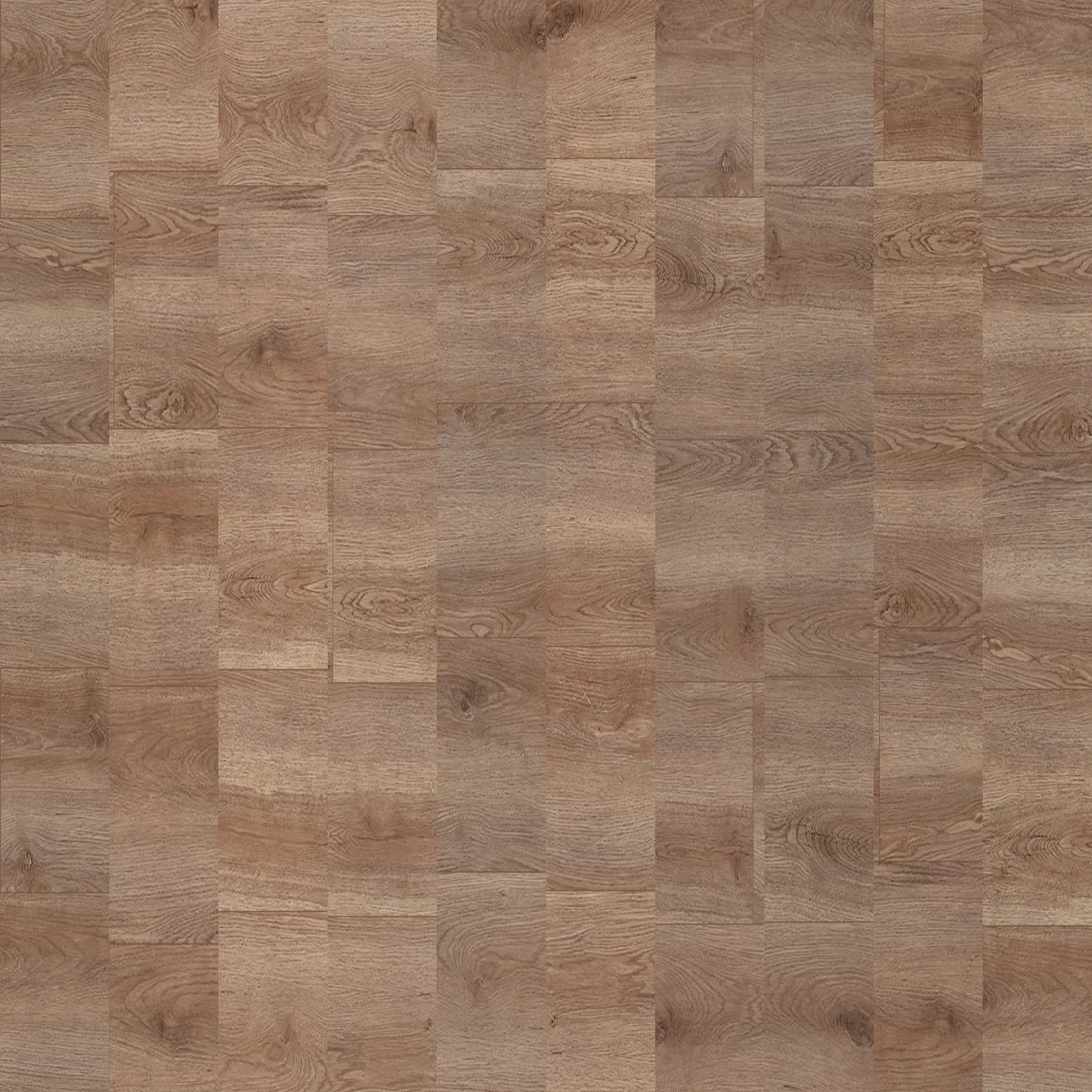 Ivory Ash