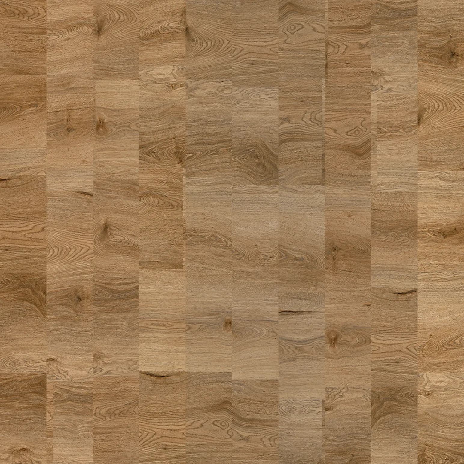 Coastal Spotted Gum