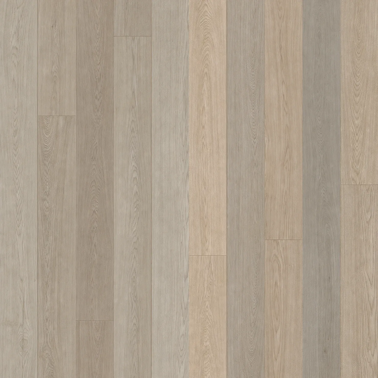 Champagne Oak