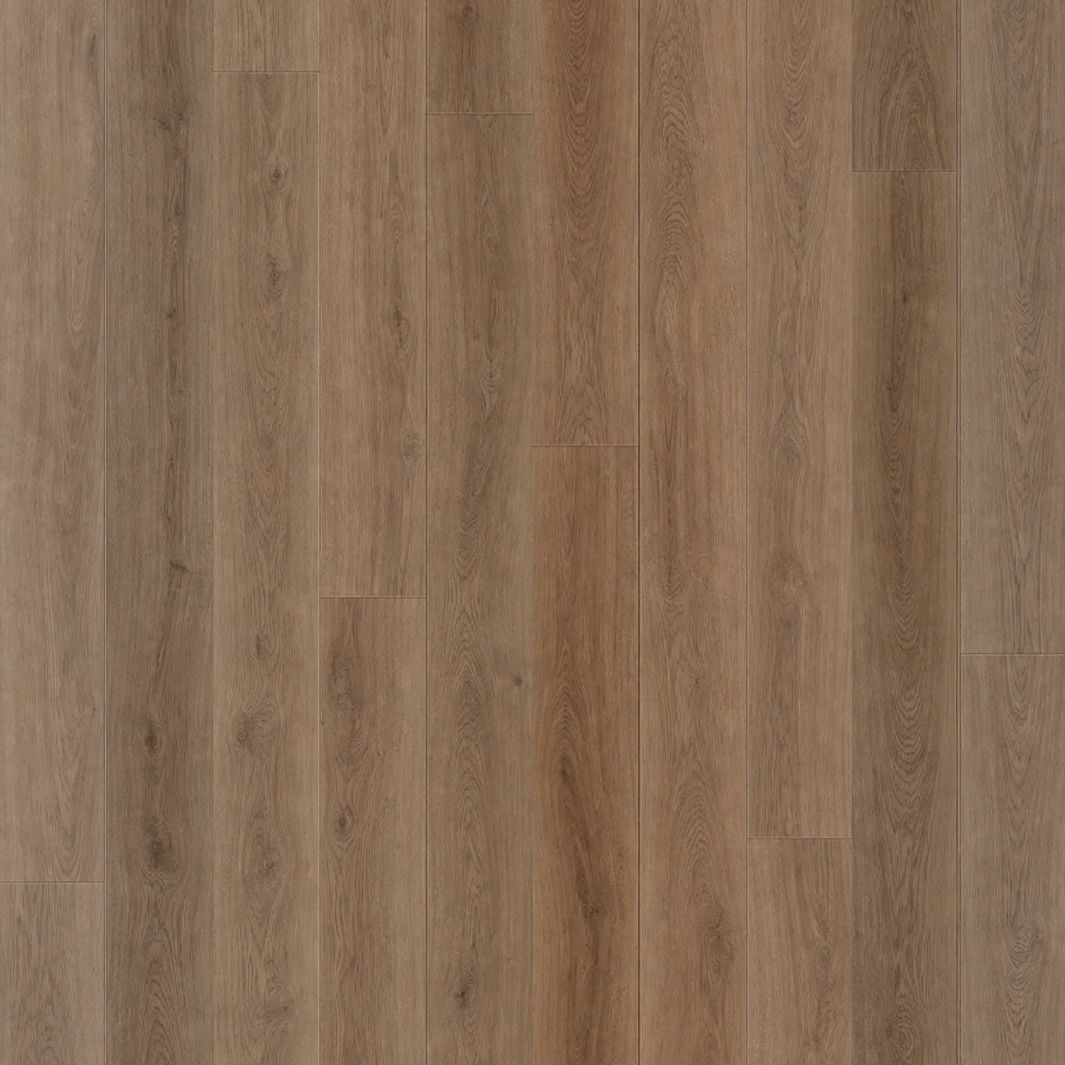 Mocha Oak