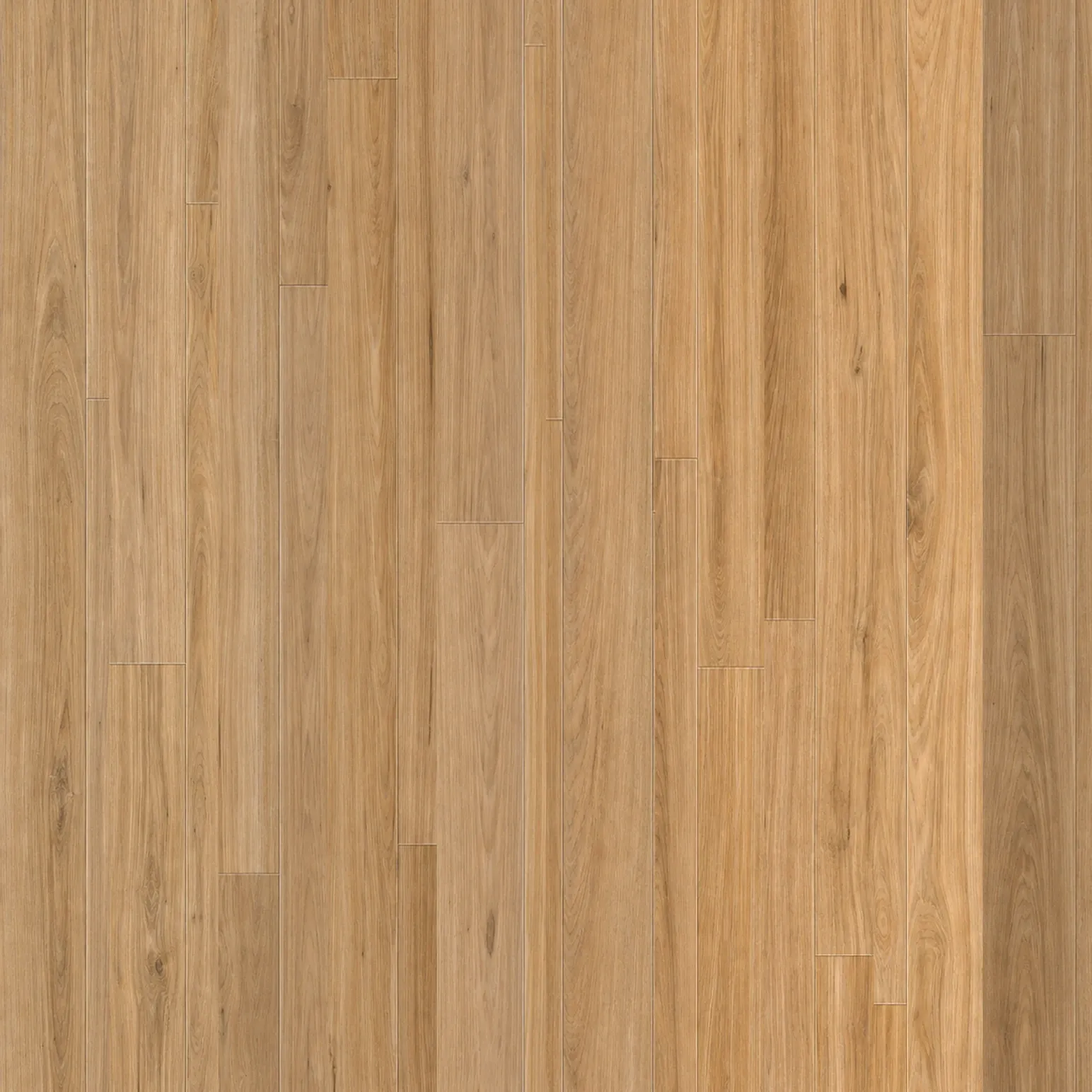 Light Spotted Gum