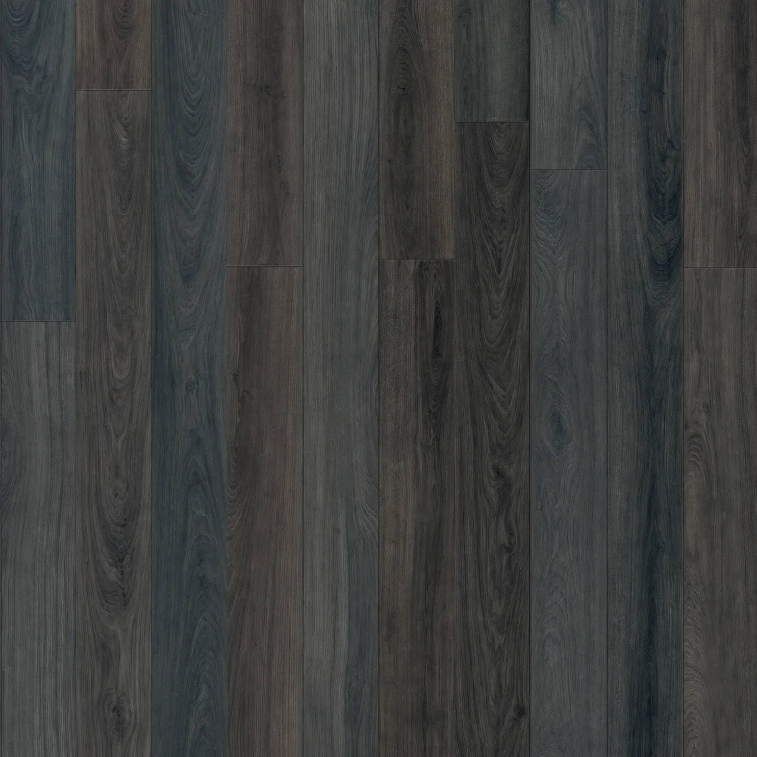 Midnight Oak
