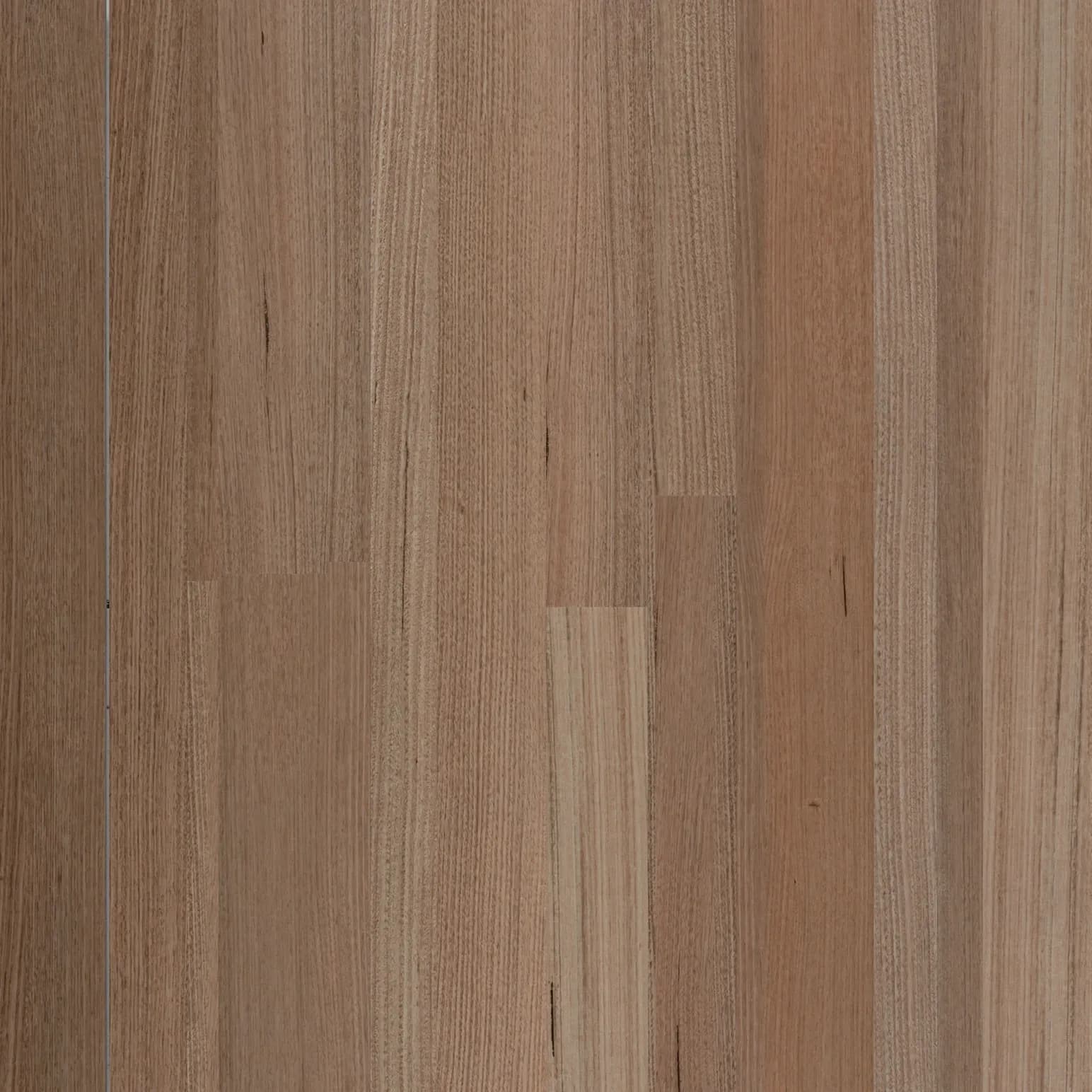 Tasmania Oak