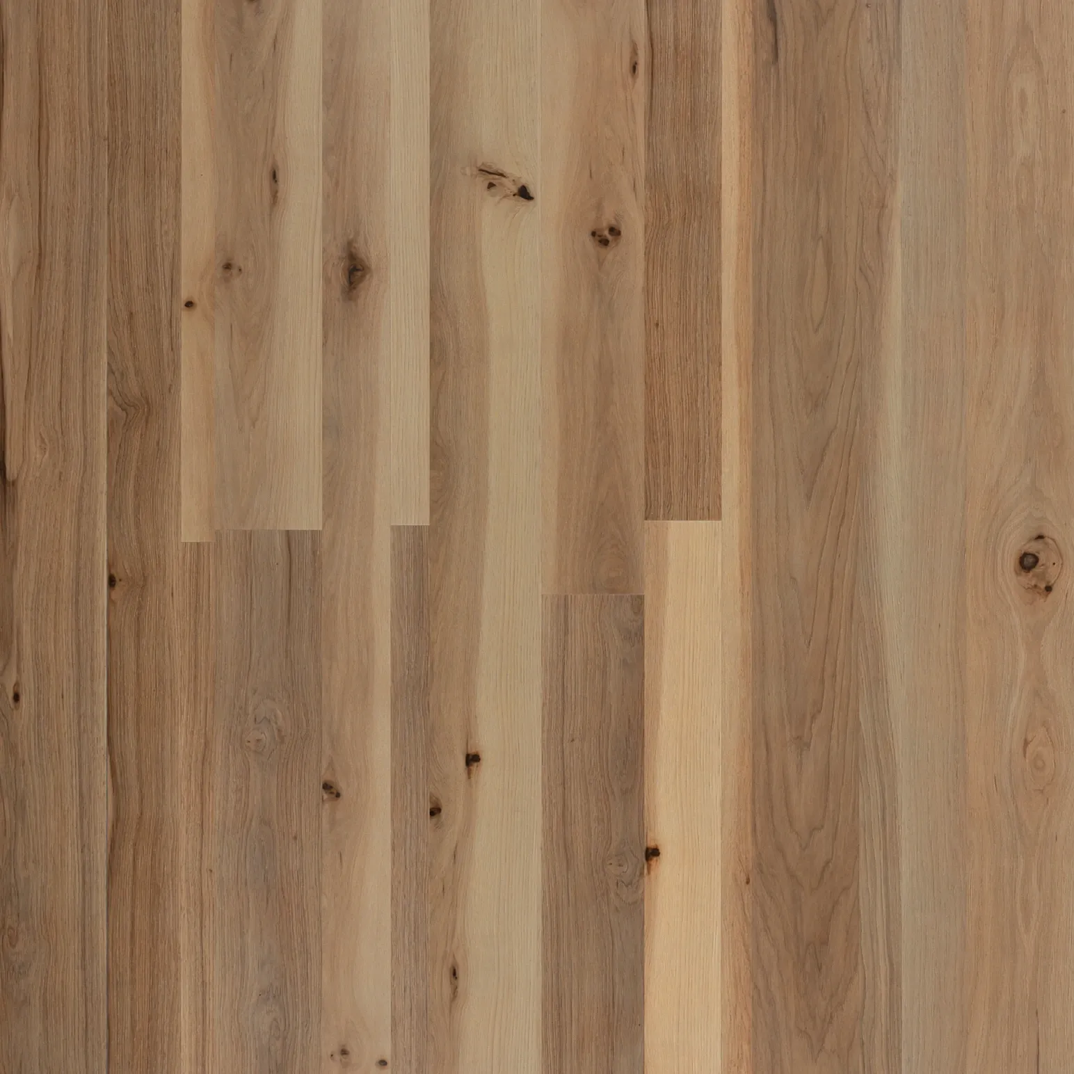 Hickory