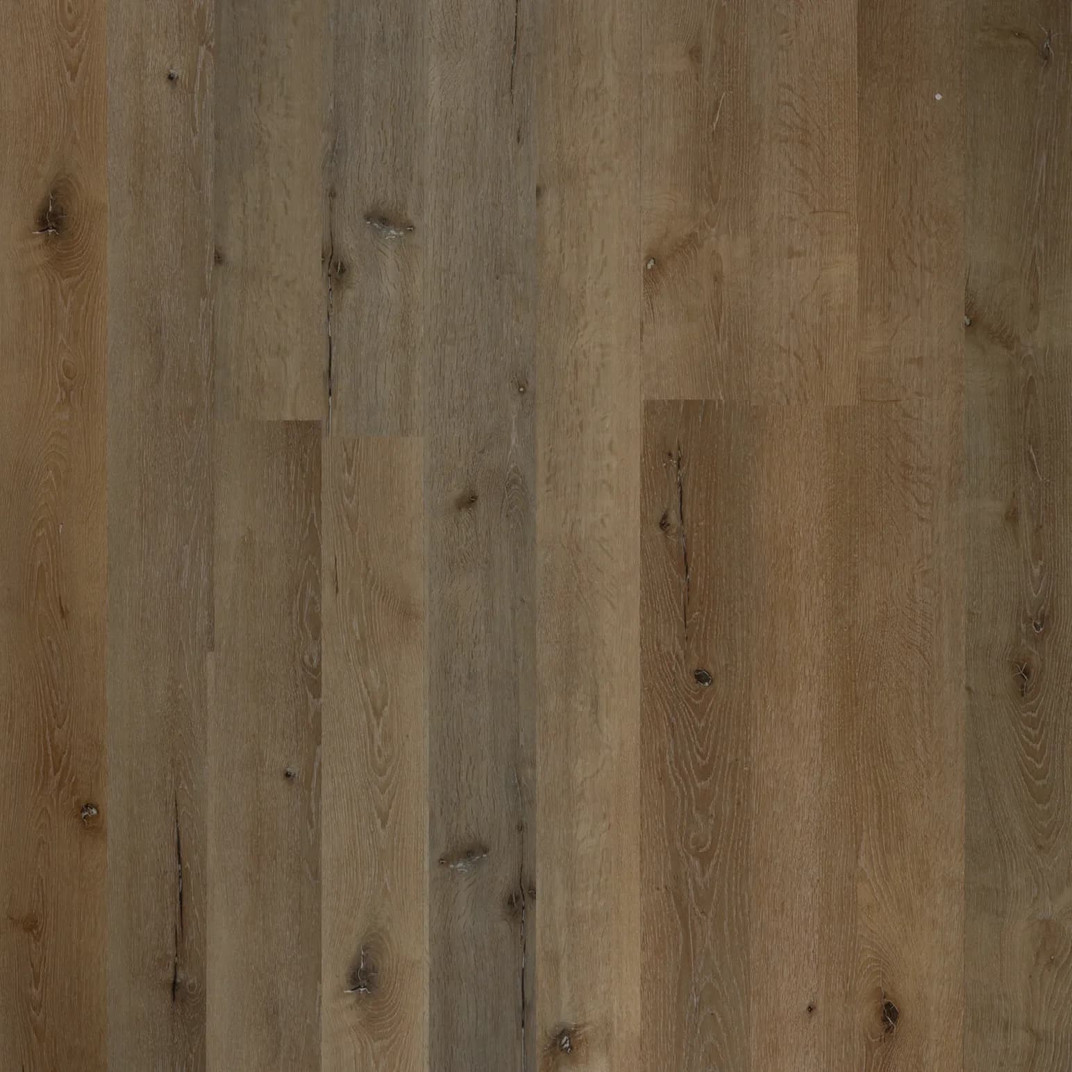Smoulder Oak