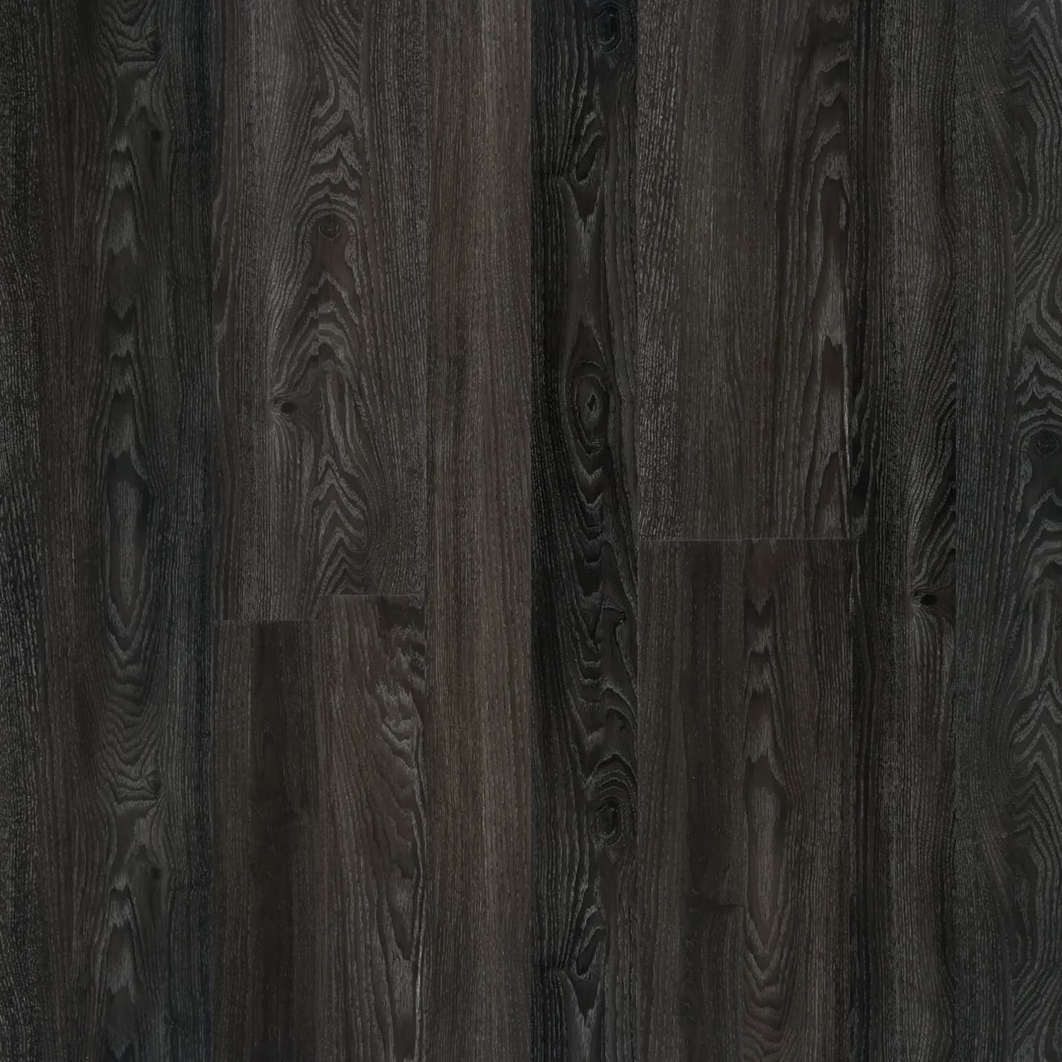 Midnight Oak