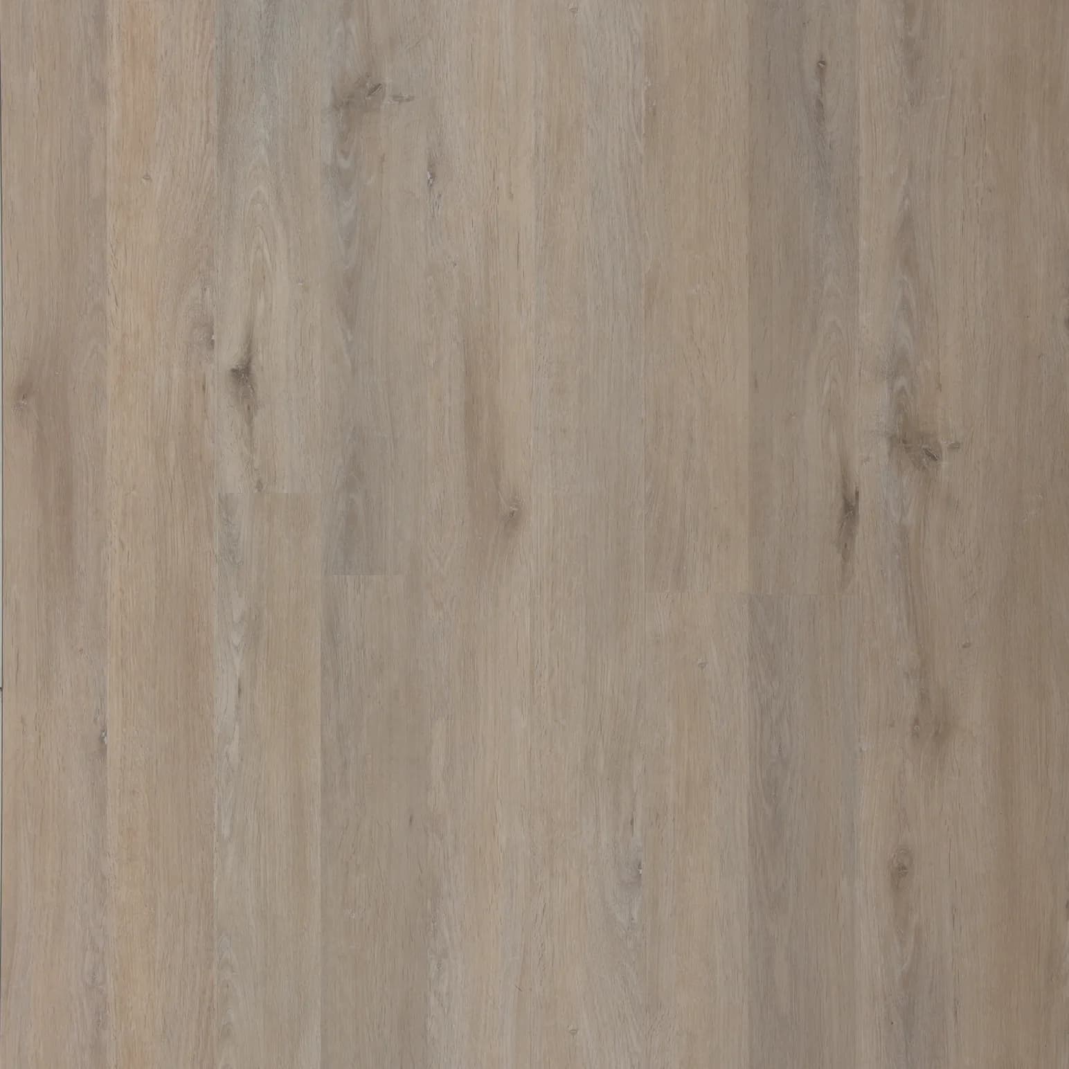 Coastal Limed Oak