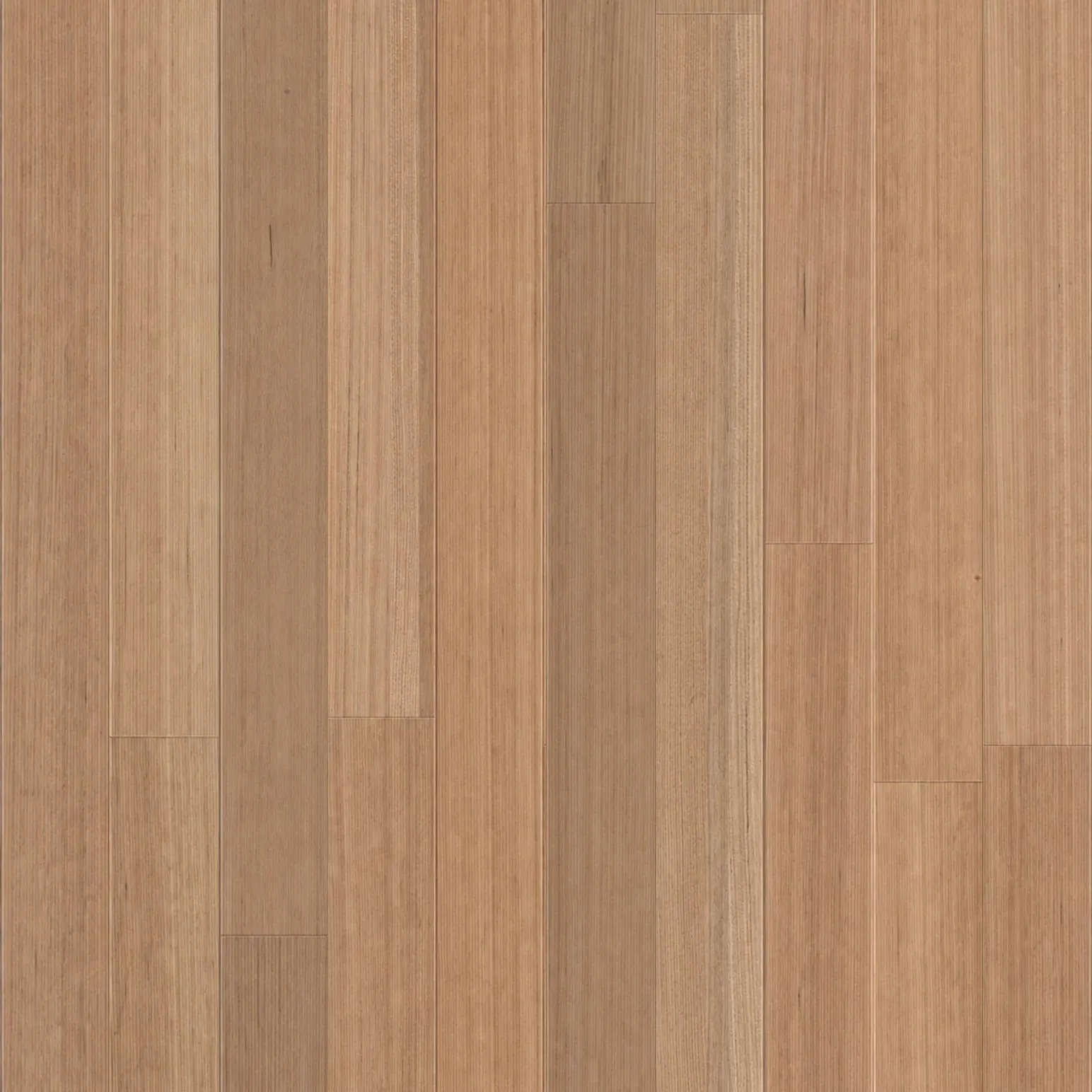 Tasmania Oak