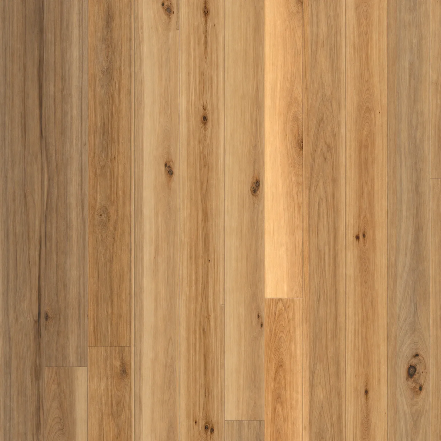 Hickory