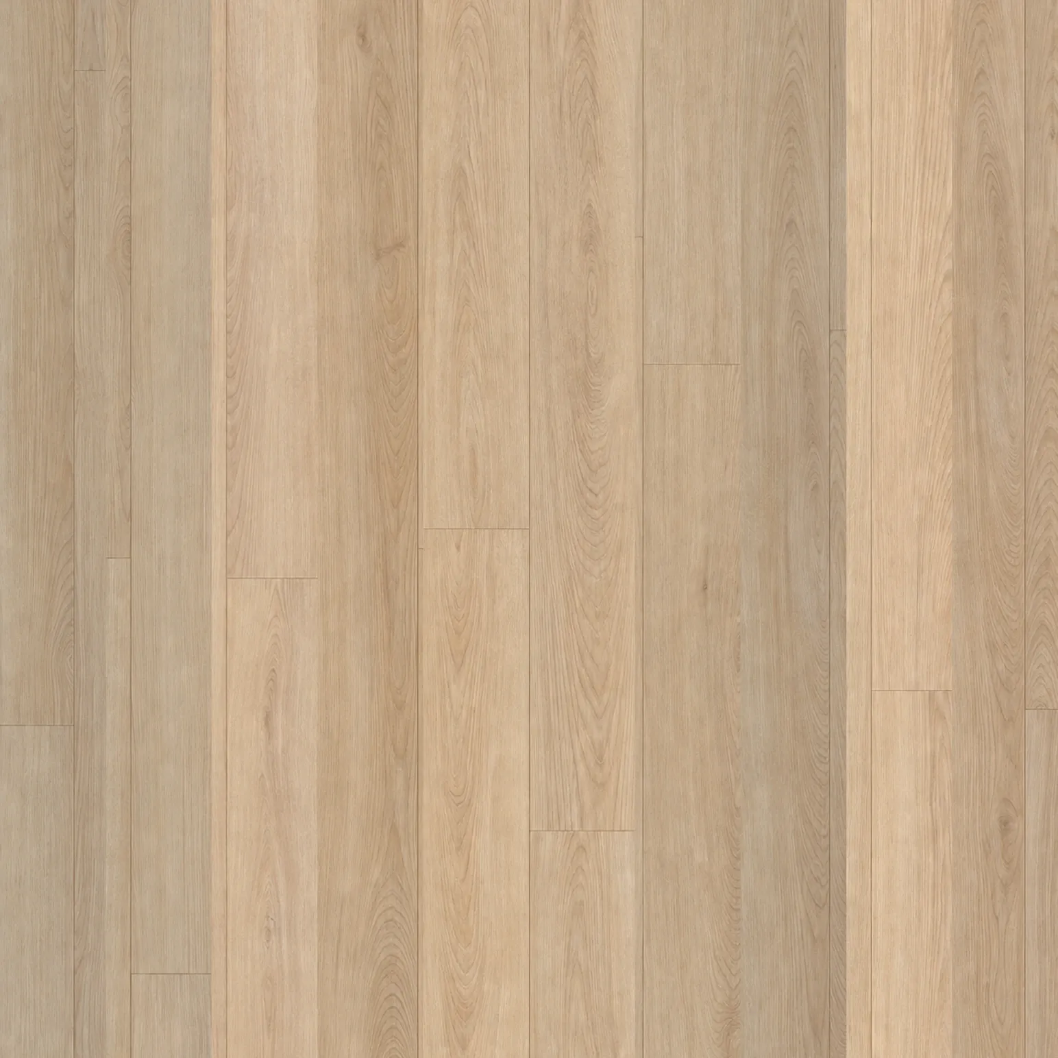 Chestnut Oak