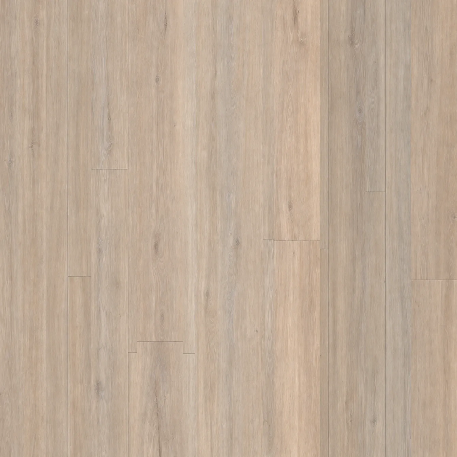Coastal Limed Oak