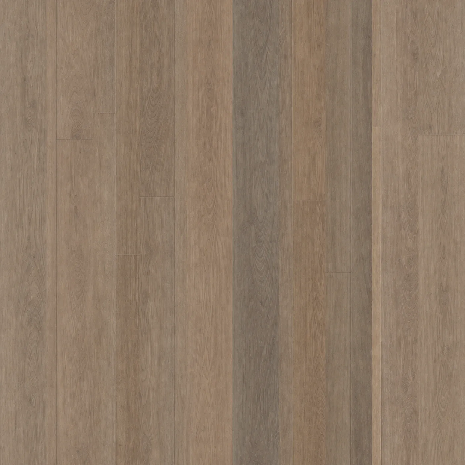 Atlantic Oak