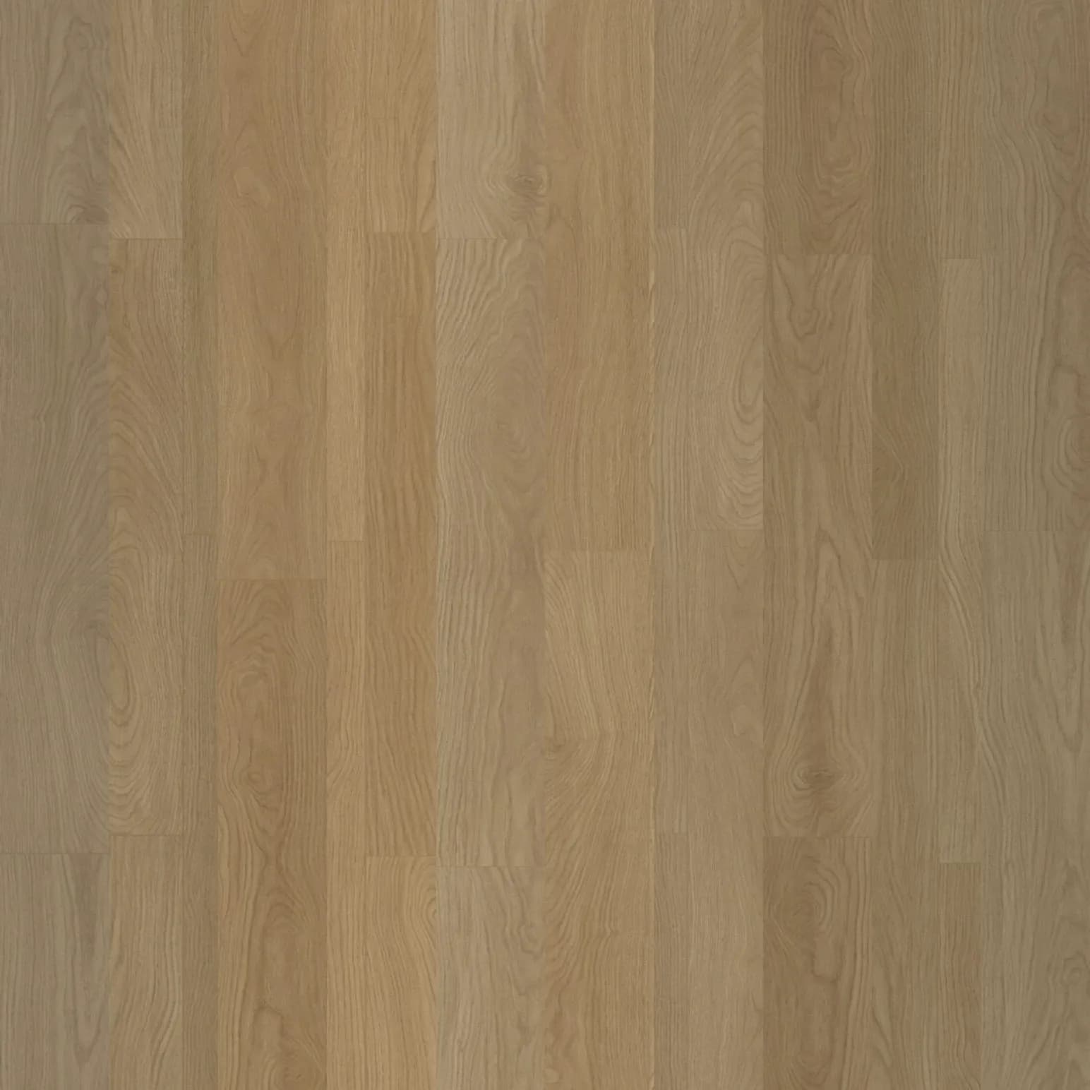Limestone Oak