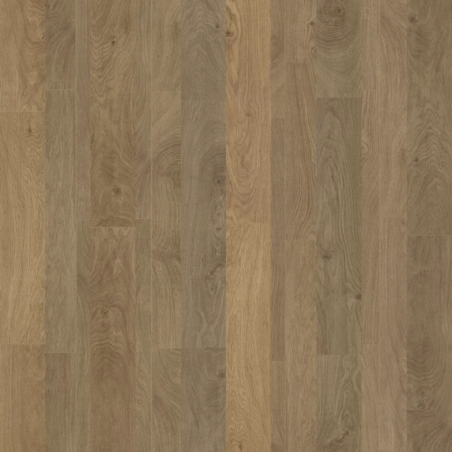 Fossil Oak