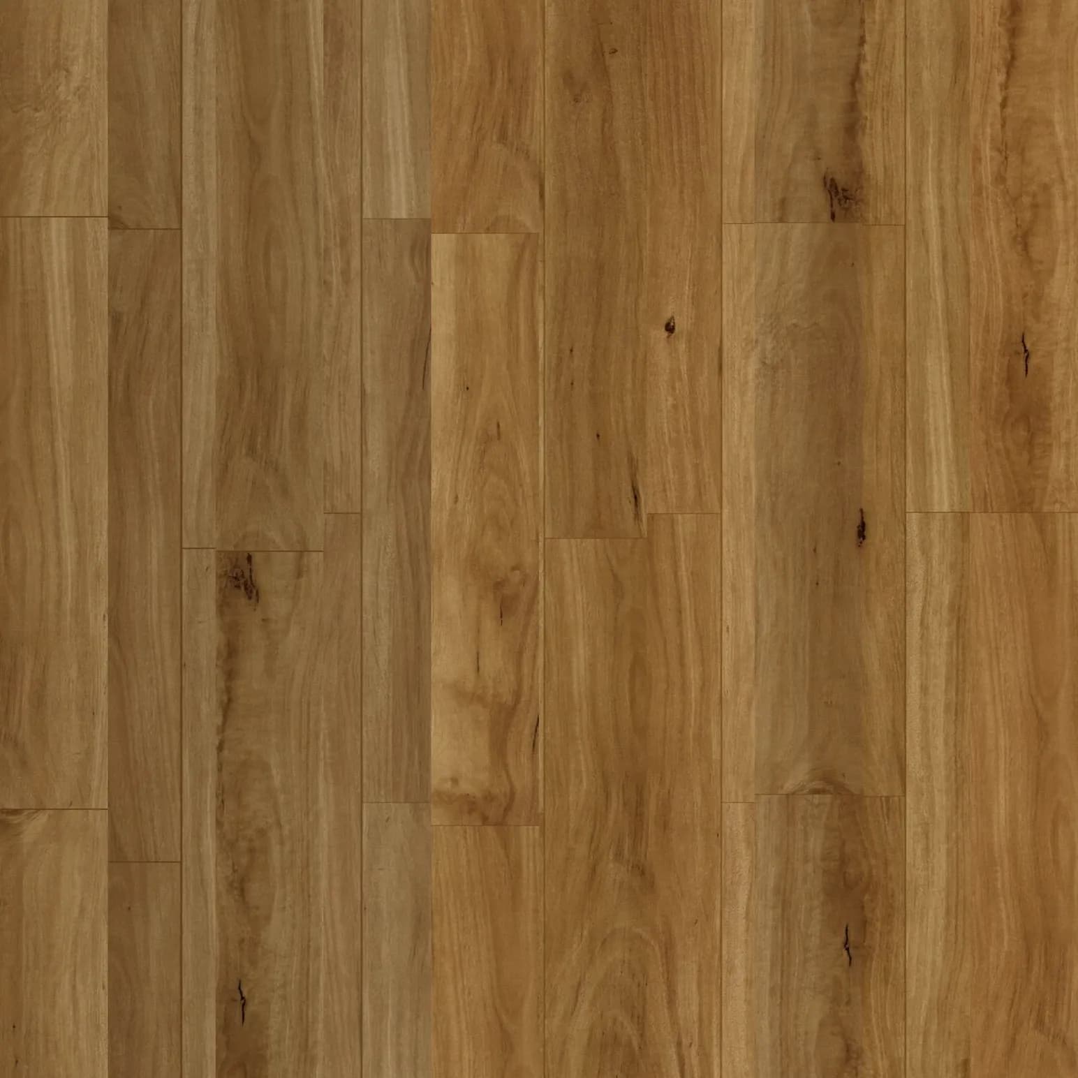 Outback Oak