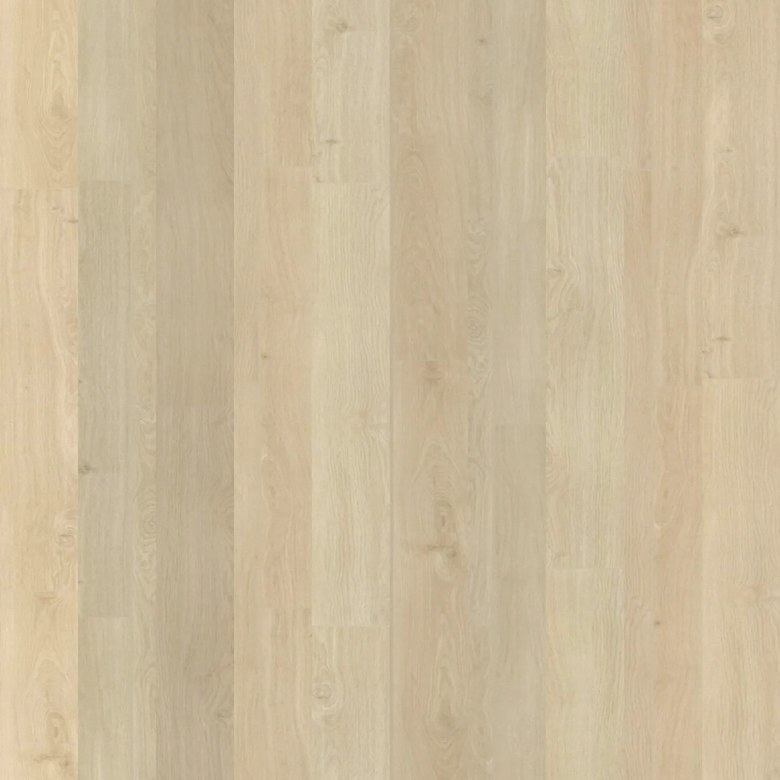 Frosted Oak