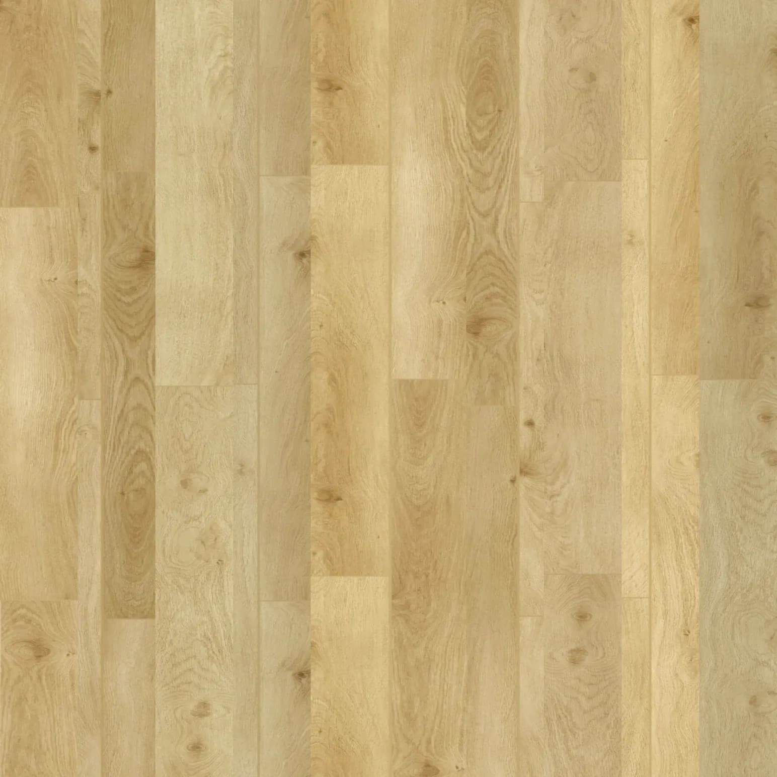 Dune Oak