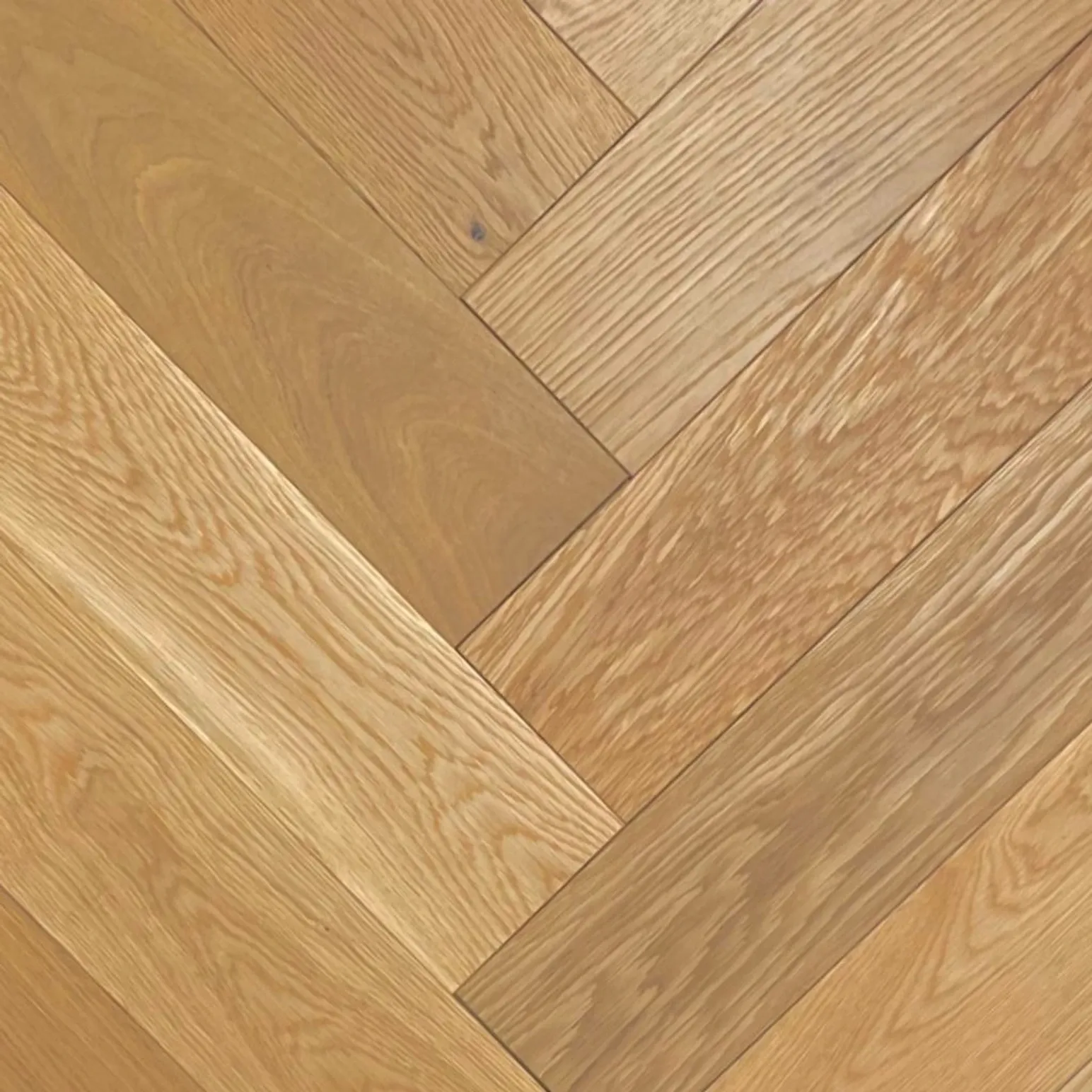 Tasman Oak