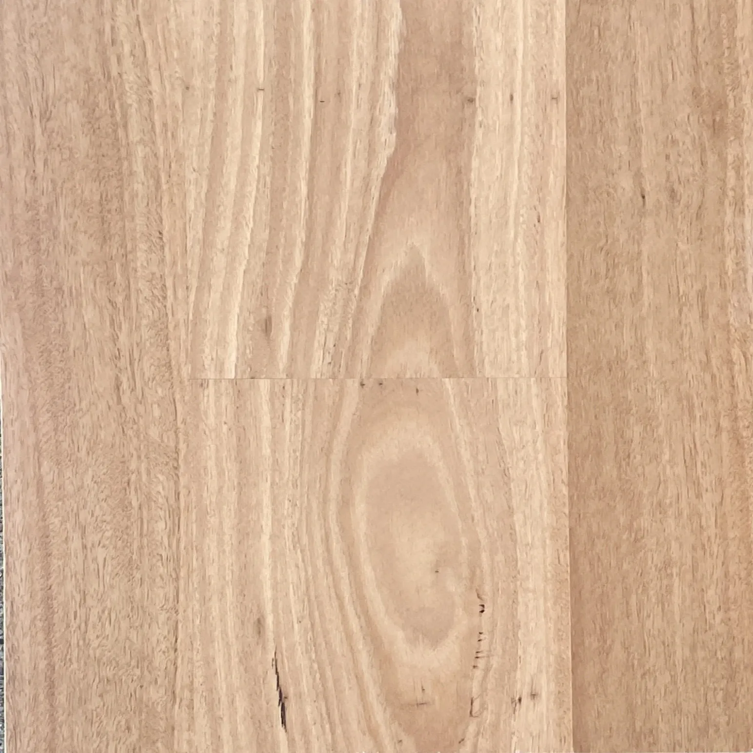 Blackbutt