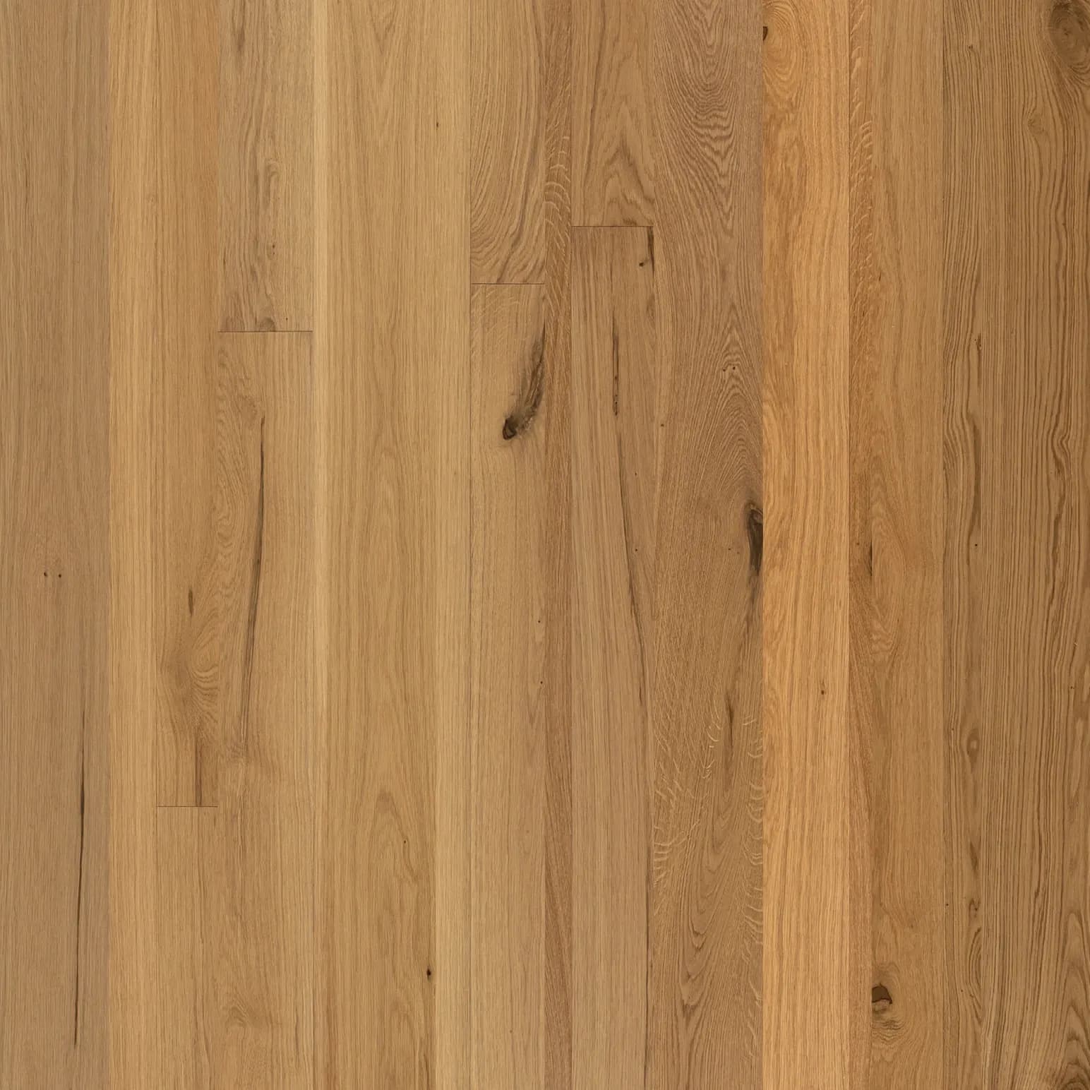 Tasman Oak