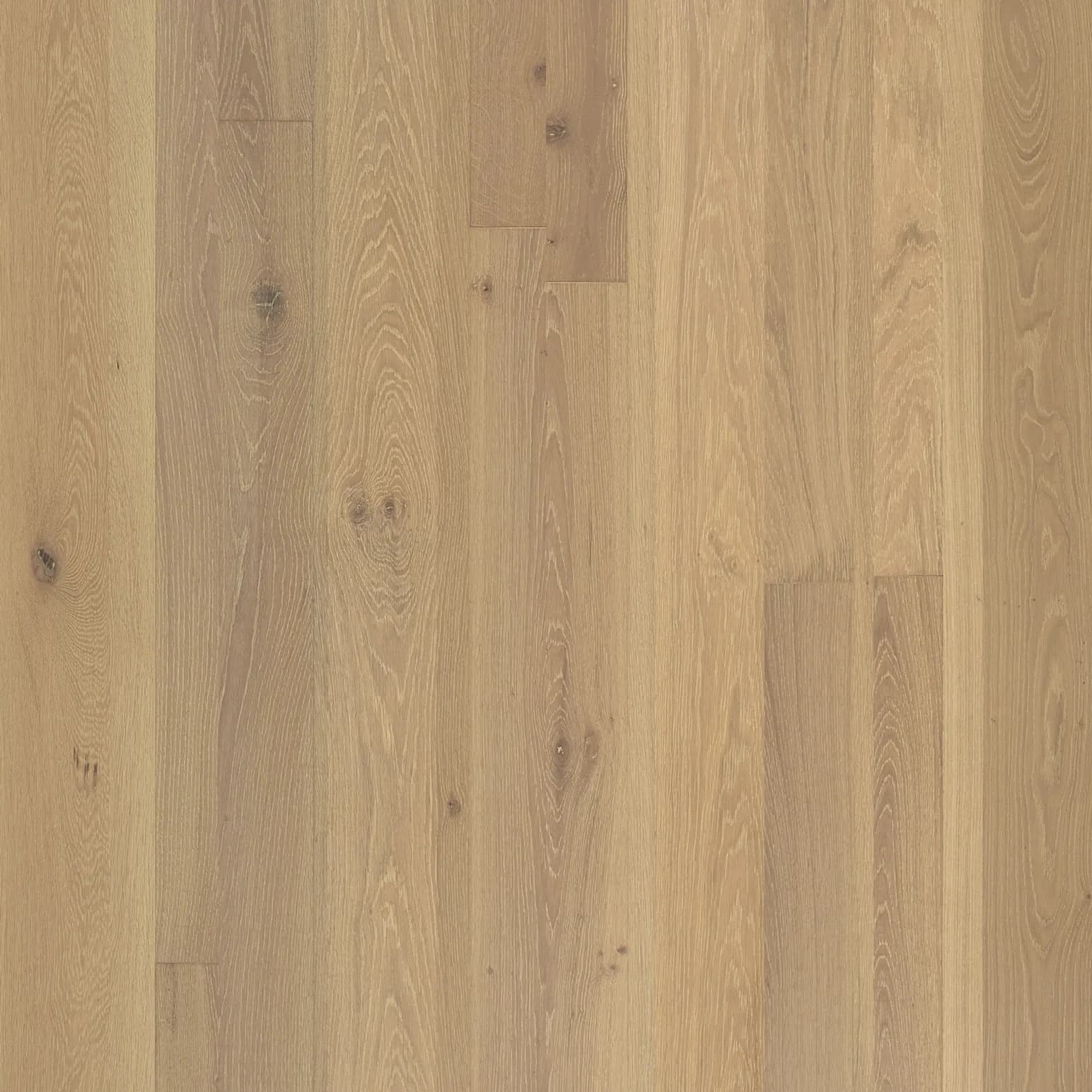 Limed Oak