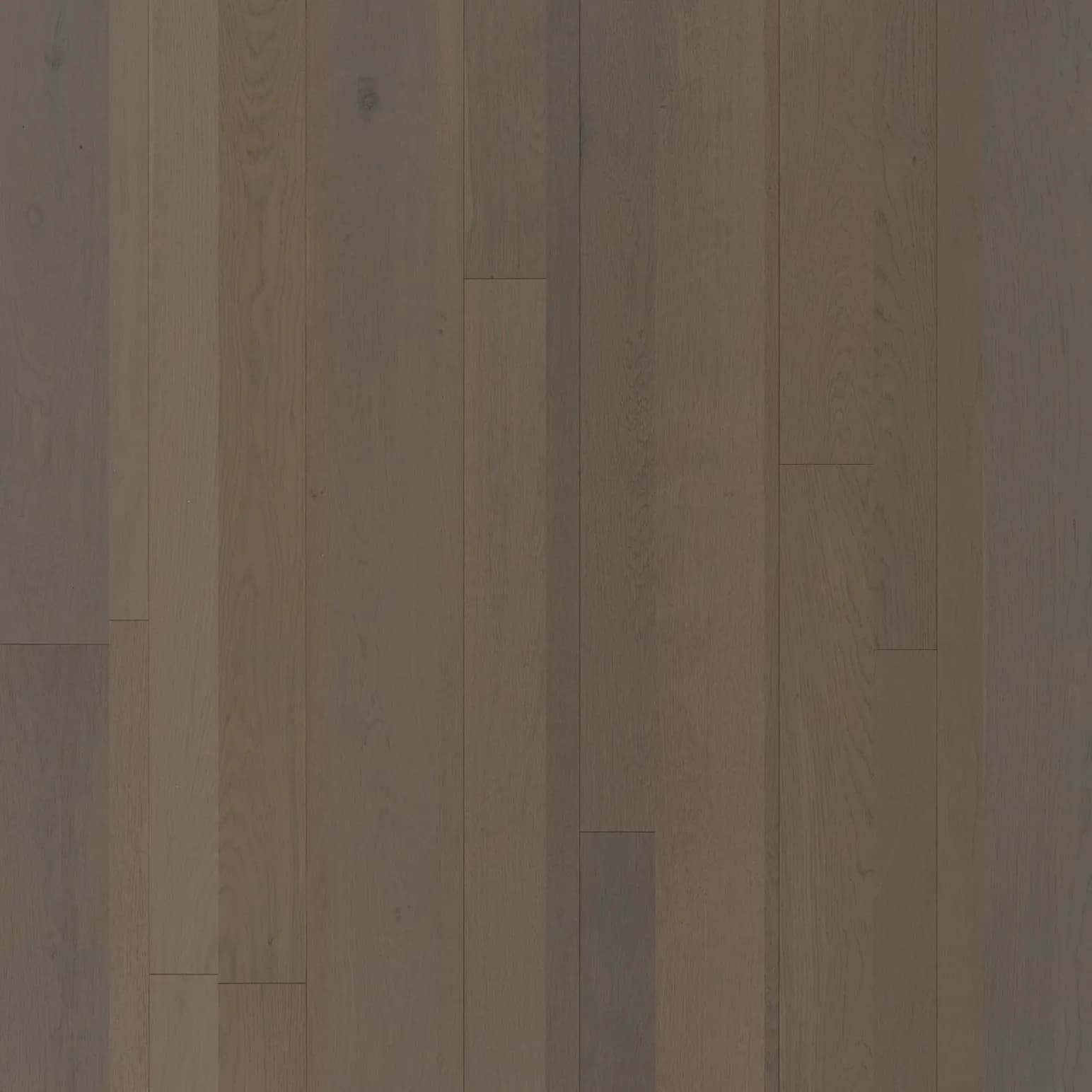 Grey Ash Oak