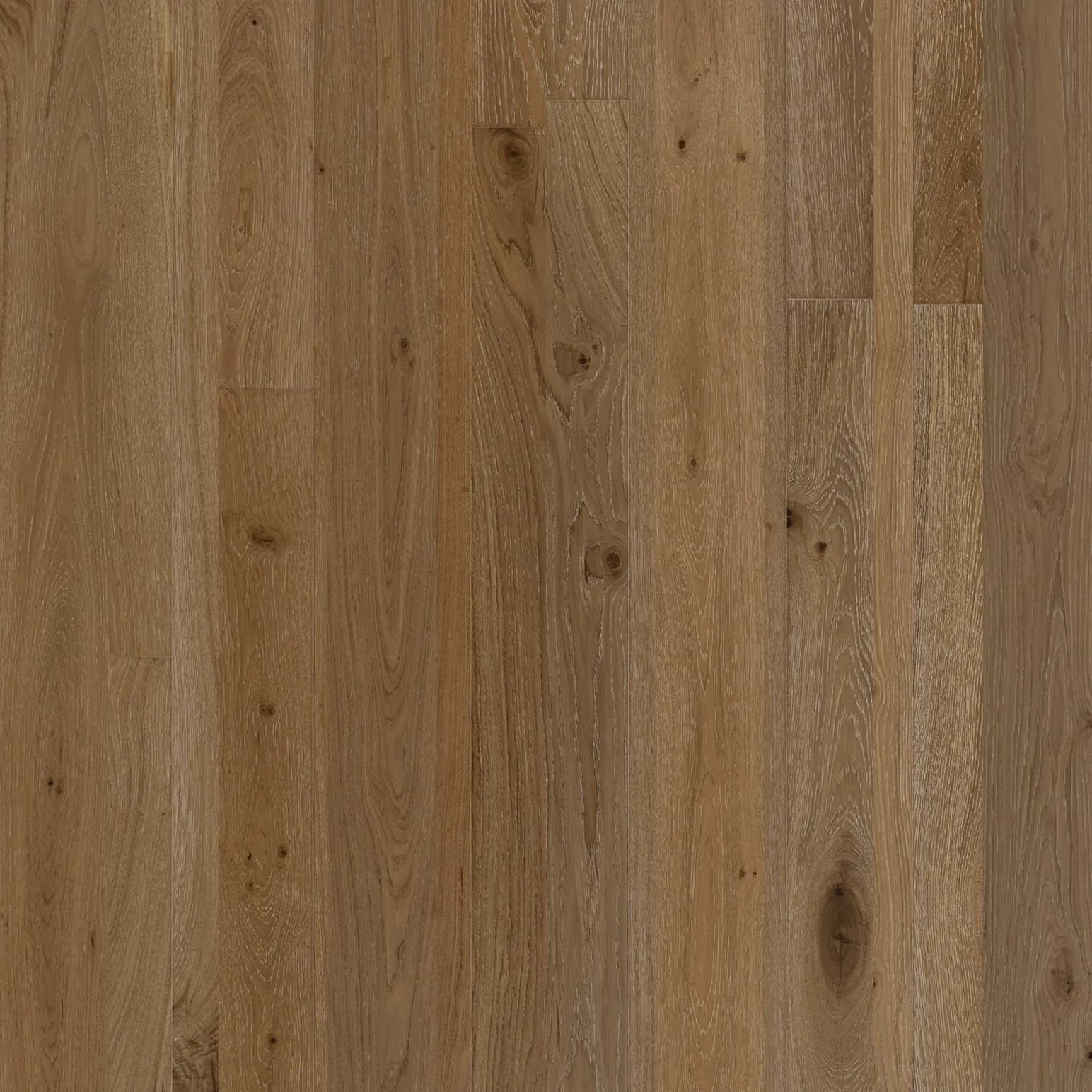 Smoulder Oak