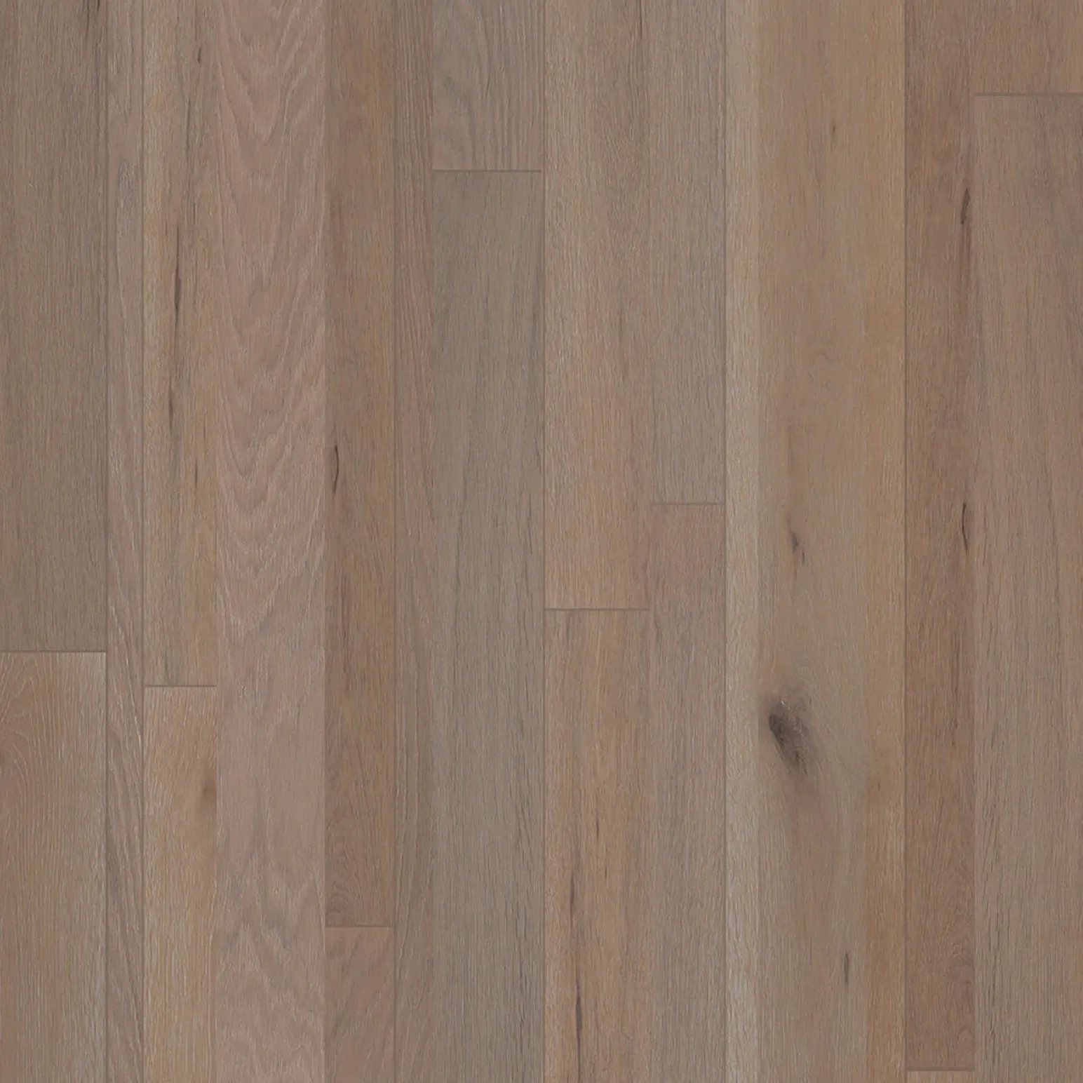 Almond Oak