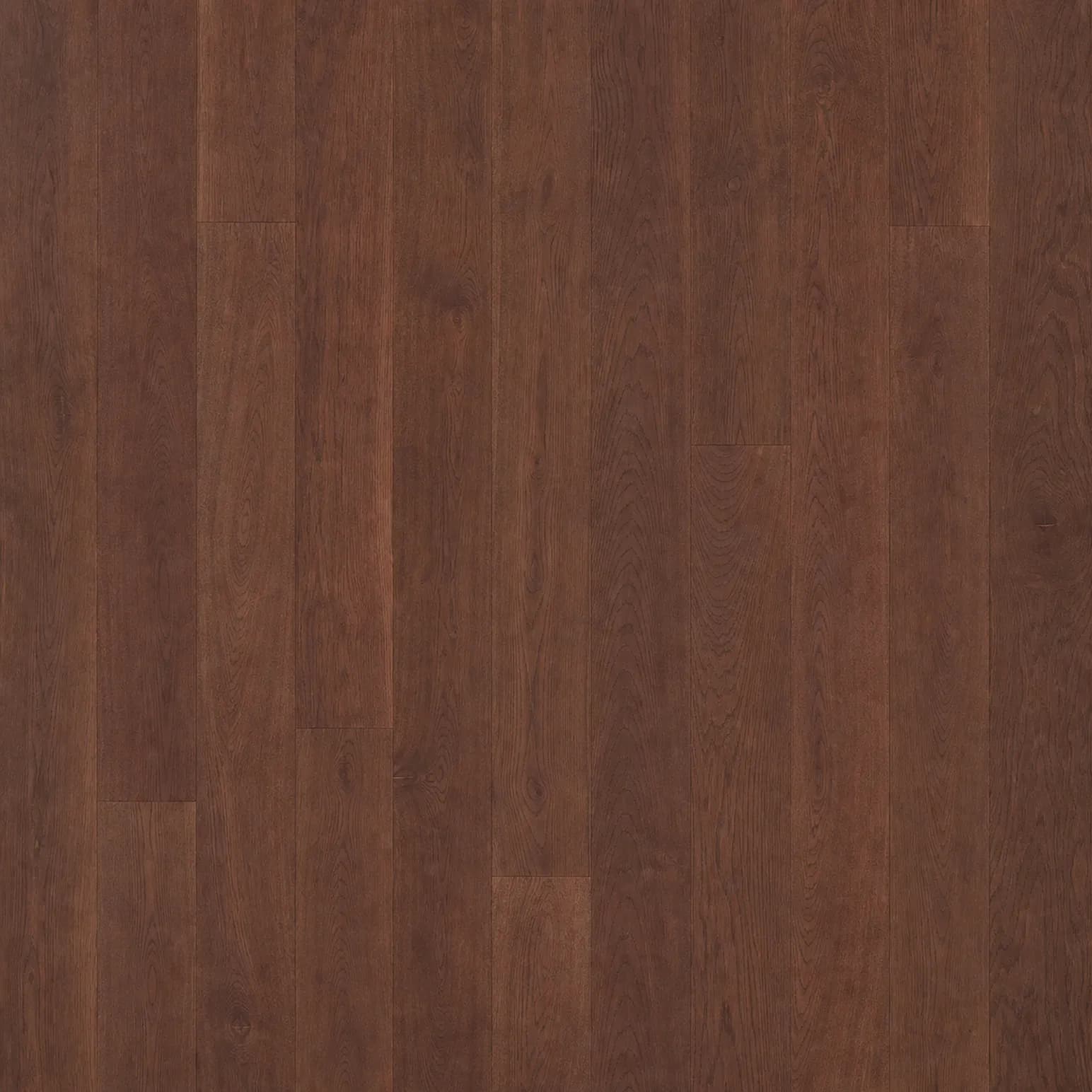 American Walnut