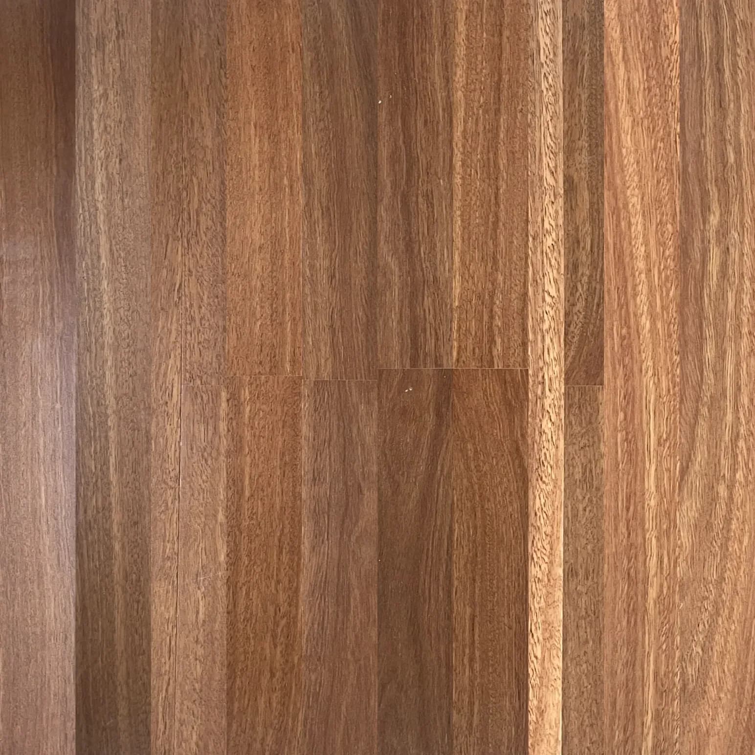 Spotted Gum