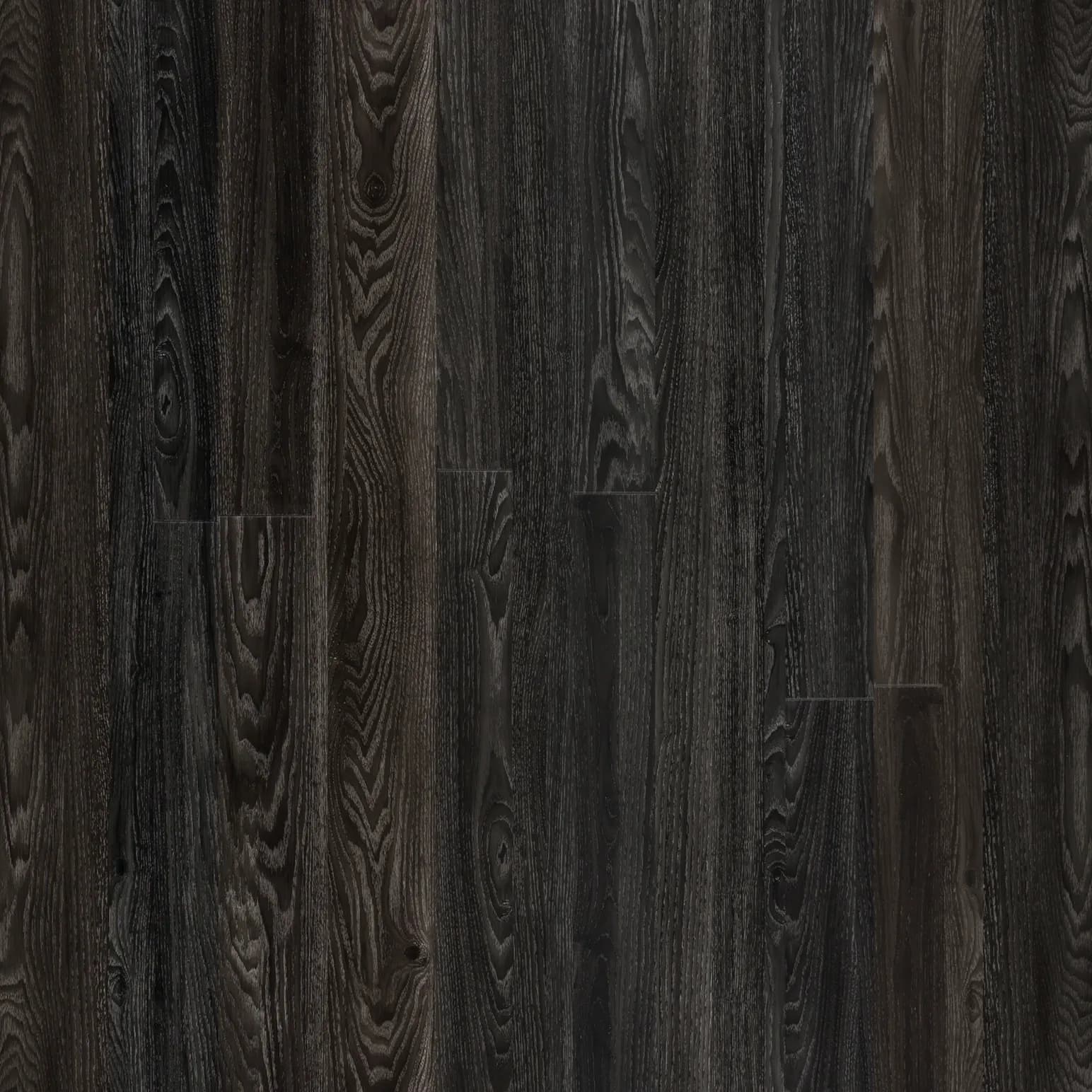 Midnight Oak