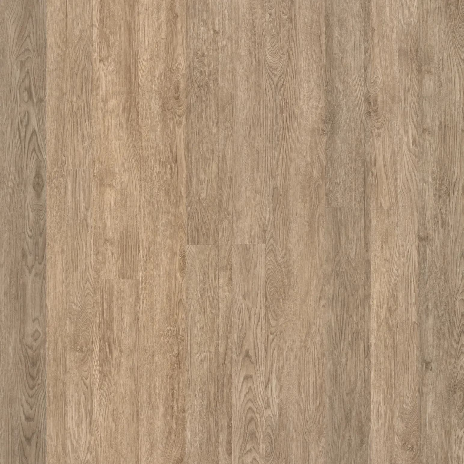 Pearl Oak