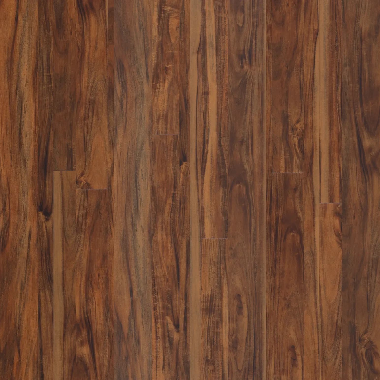 Sydney Blue Gum