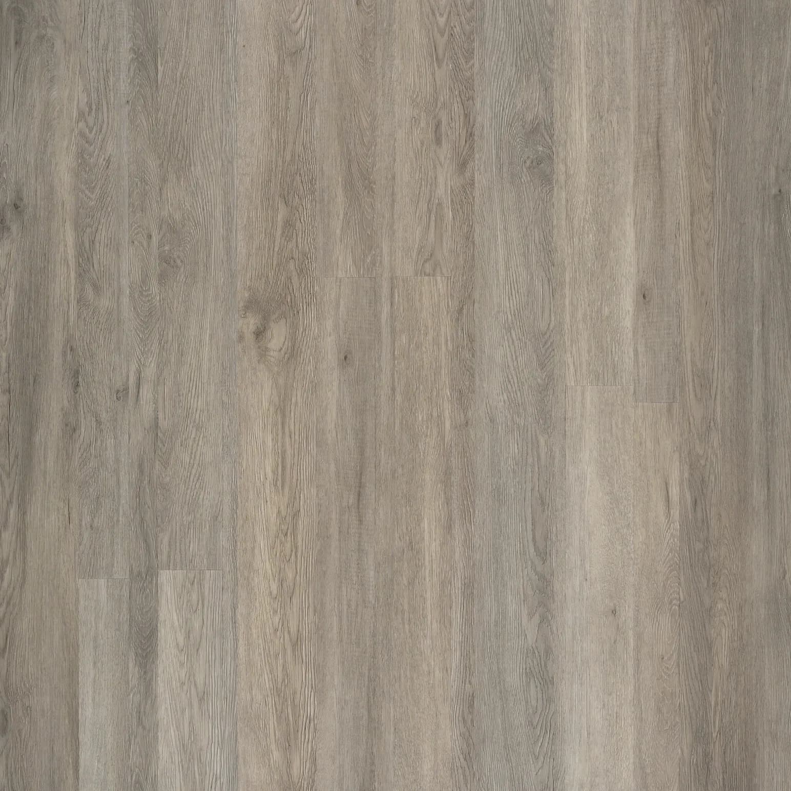 Ashen Oak