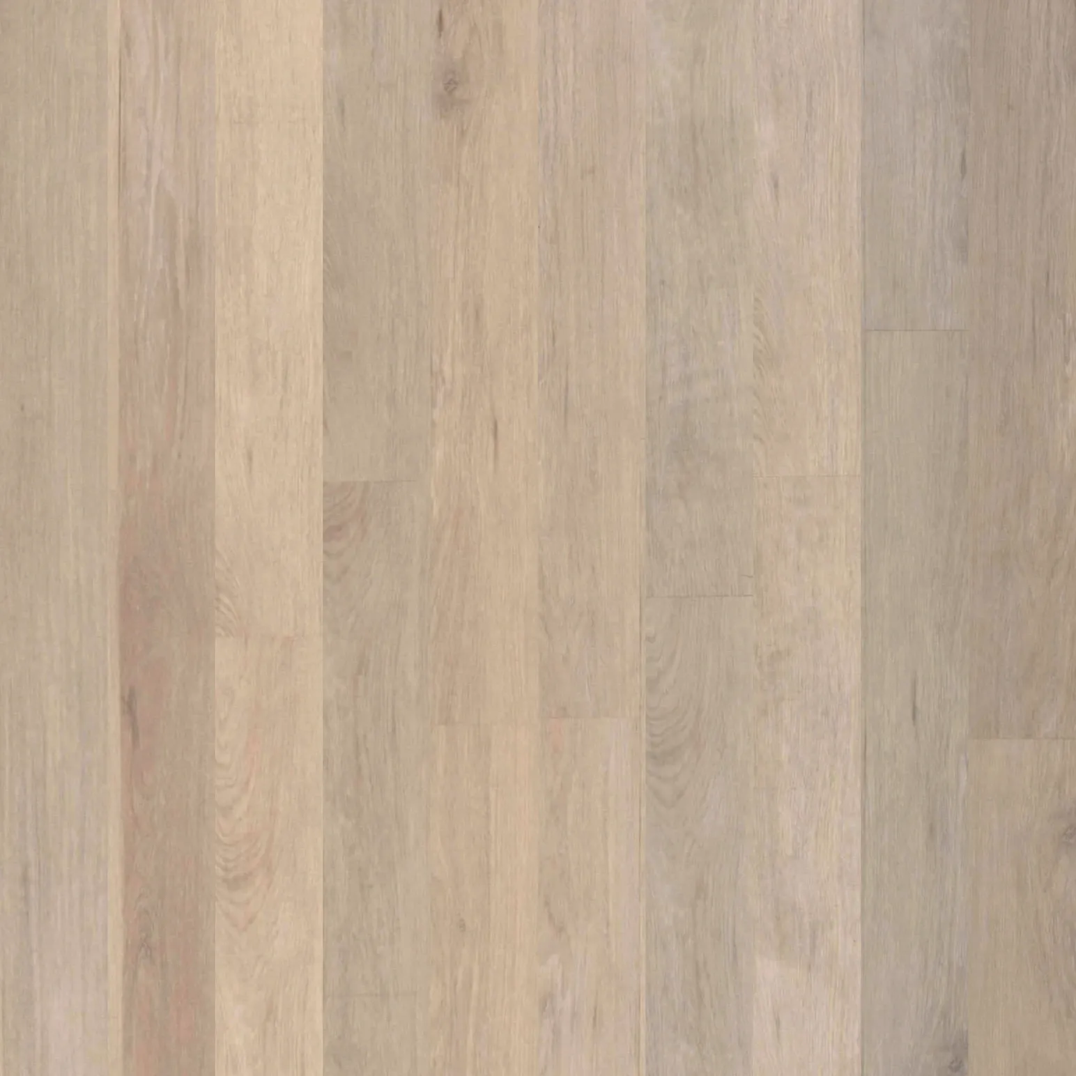 Urban Oak