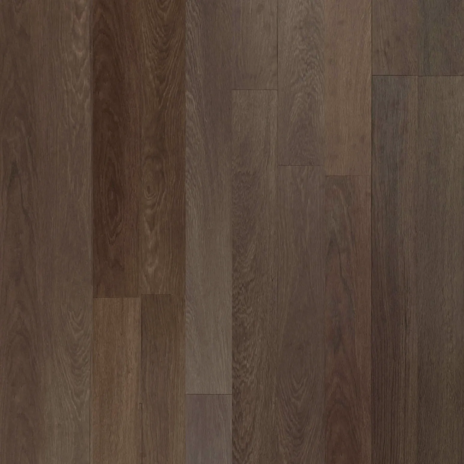 Saddle Oak