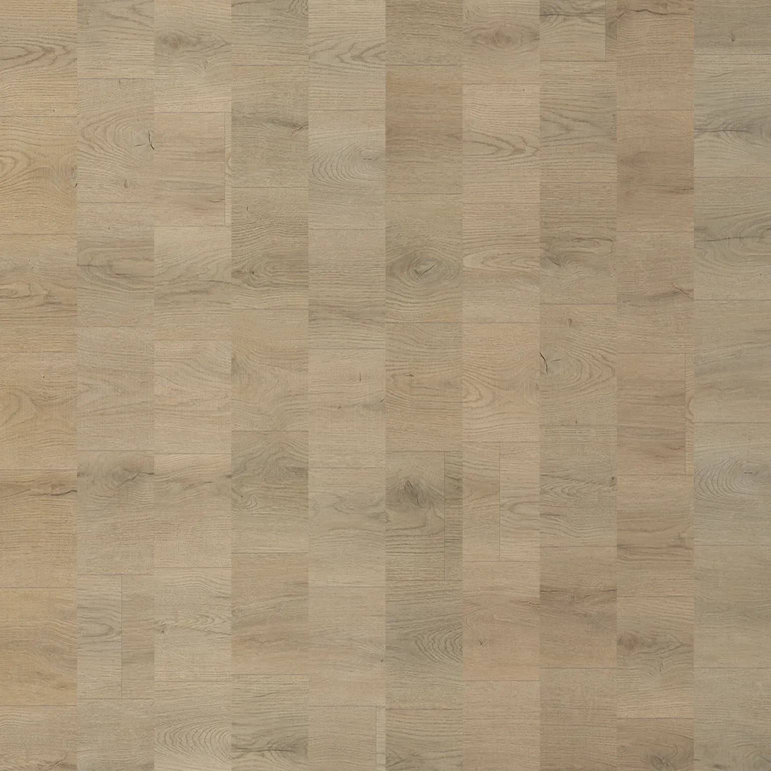 Alpine Oak